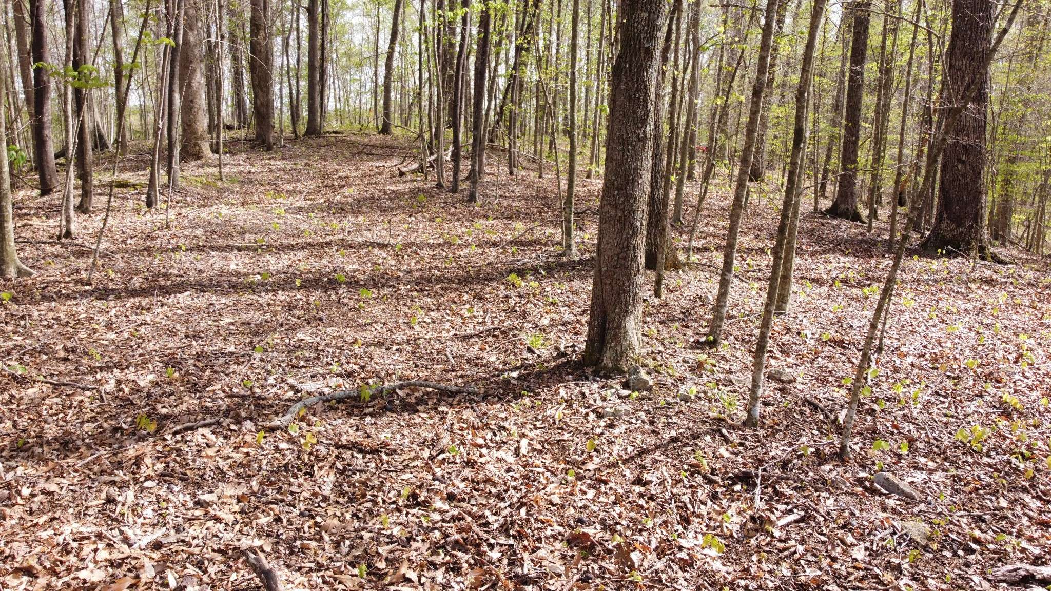0 Off Johnson Chapel Rd, Sparta, TN 38583