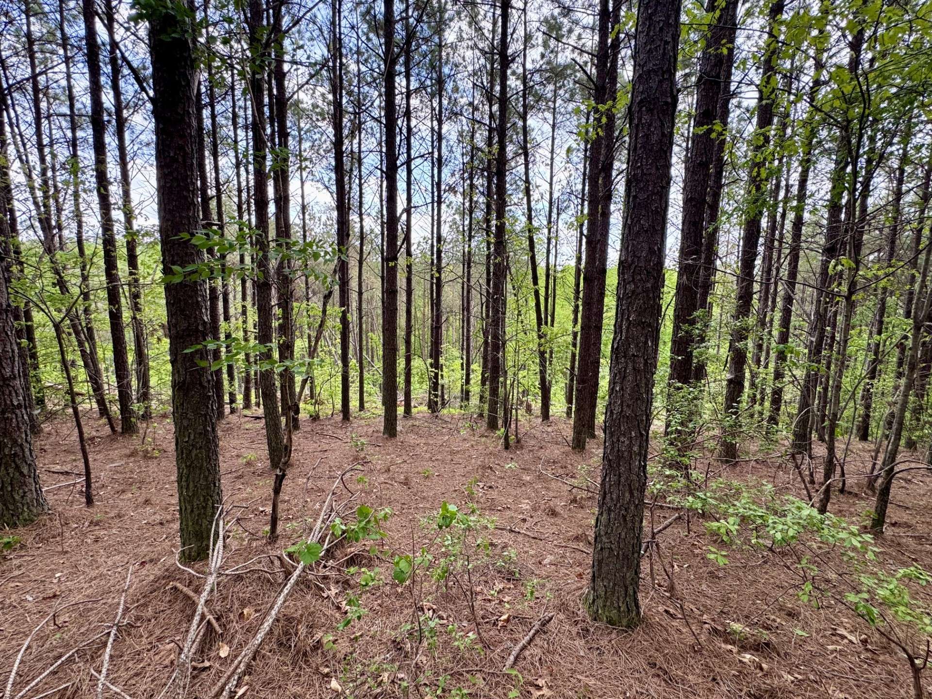 132 Rocky Top Dr, Hohenwald, TN 38462