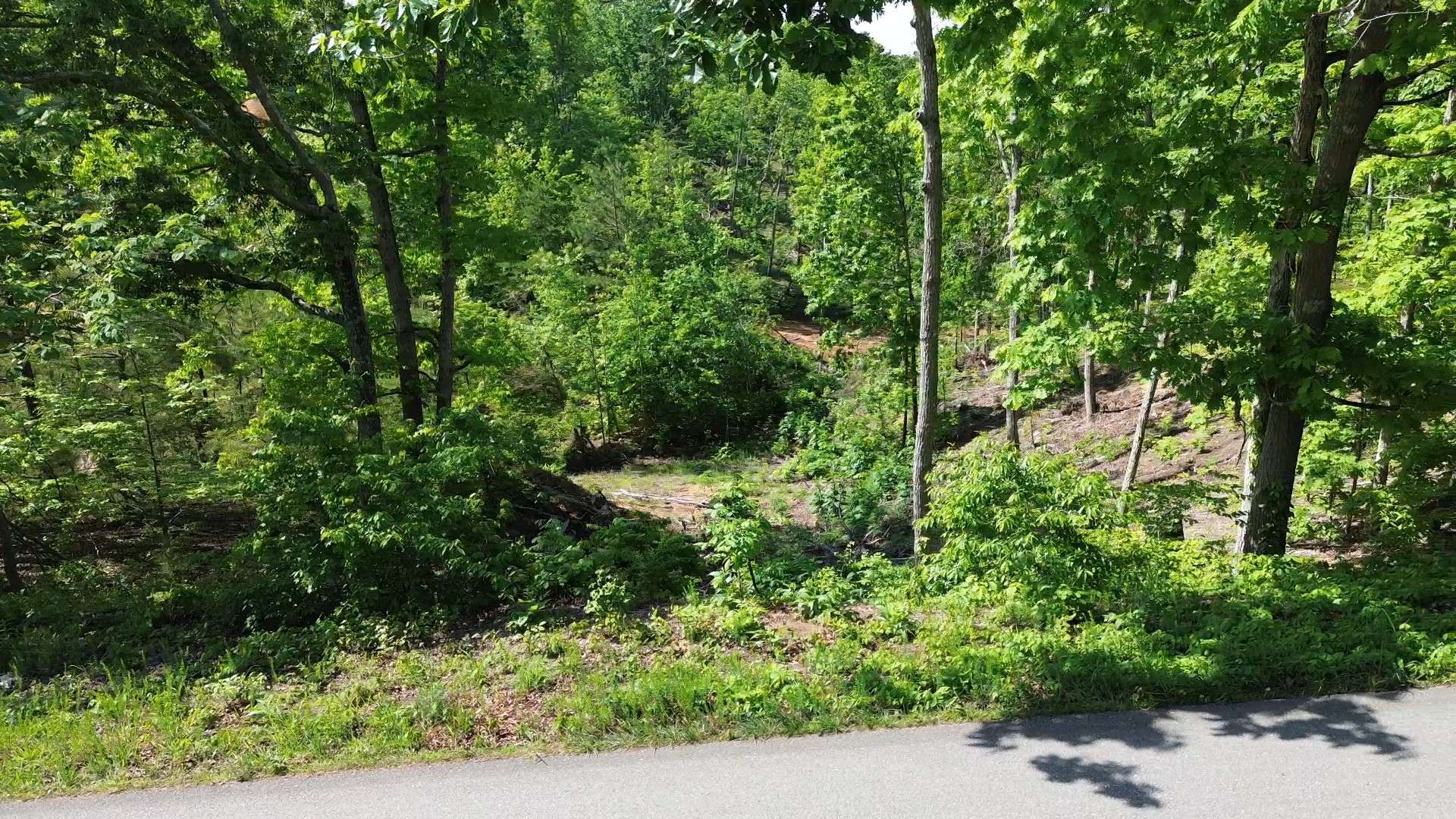 535 Highwater rd, Waverly, TN 37185