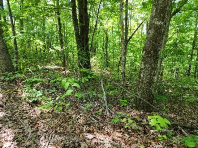 0 Forest Trail Lane, Celina, TN 38551