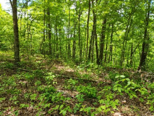 0 Forest Trail Lane, Celina, TN 38551