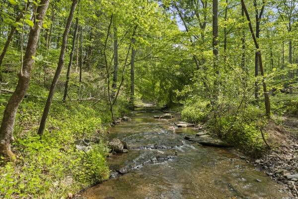 1240 Tanner Hollow Rd, Centerville, TN 37033
