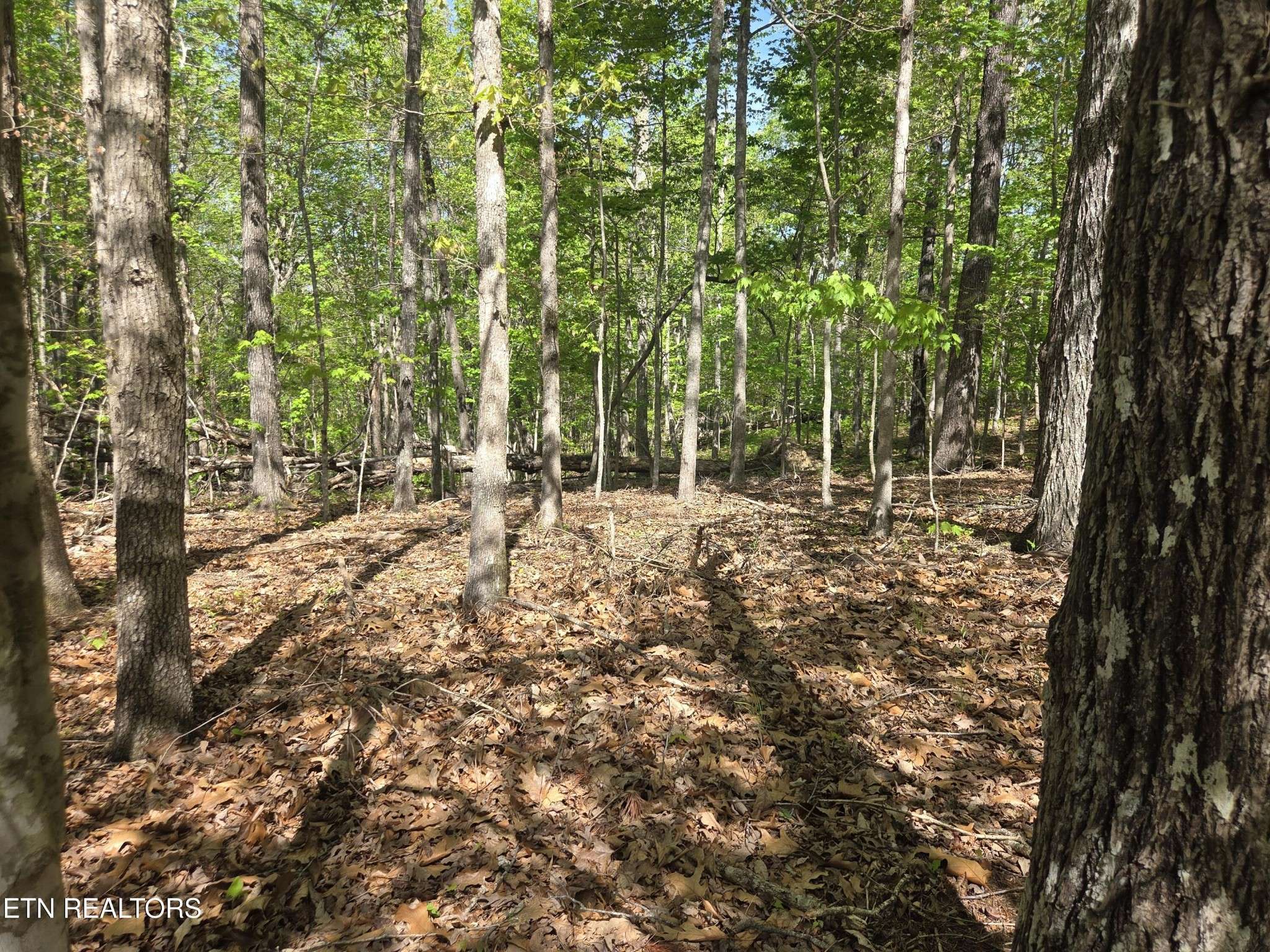 375 Rotherham Drive, Crossville, TN 38558