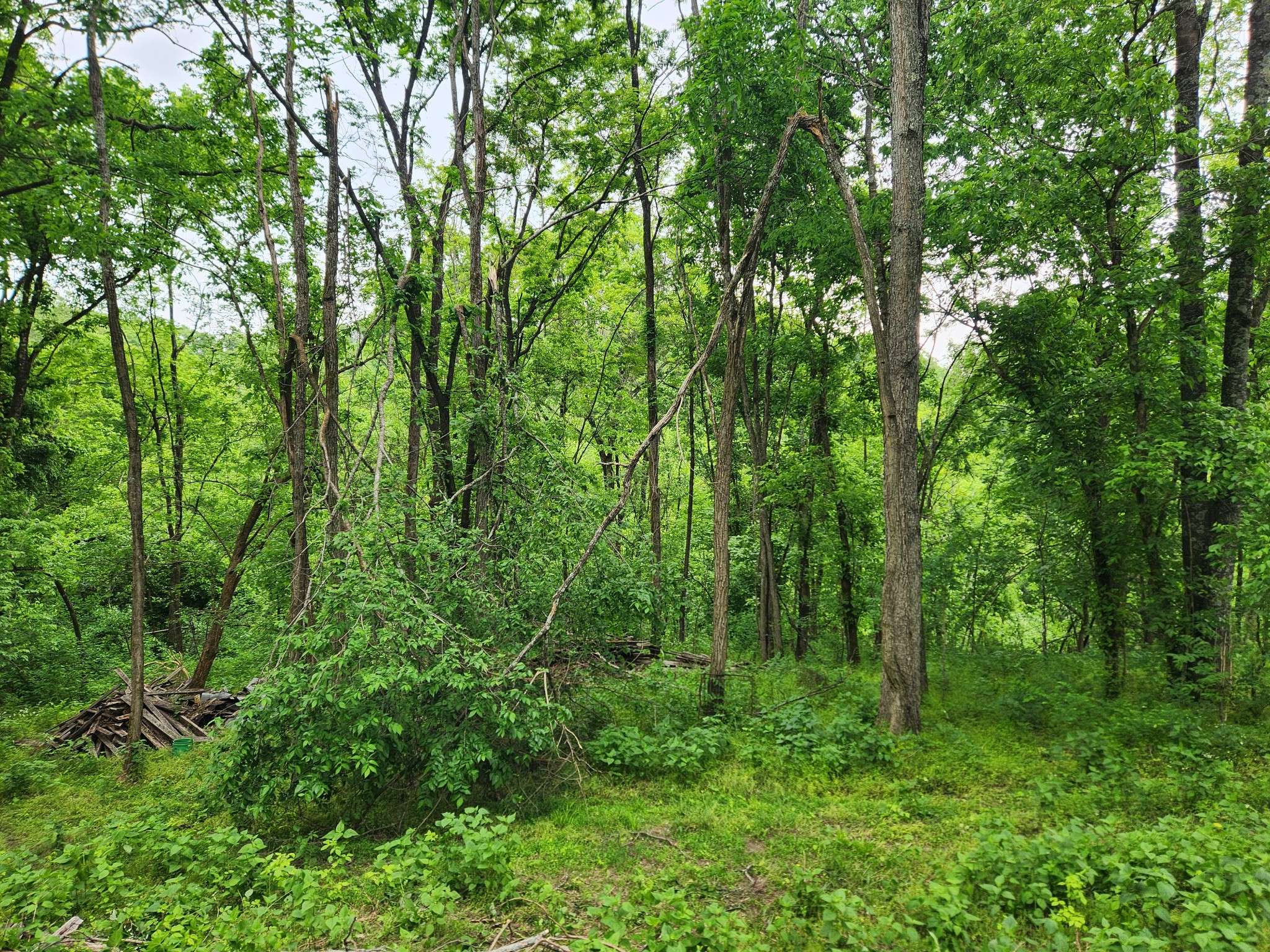 0 Thompson Hill Road, Bethpage, TN 37022