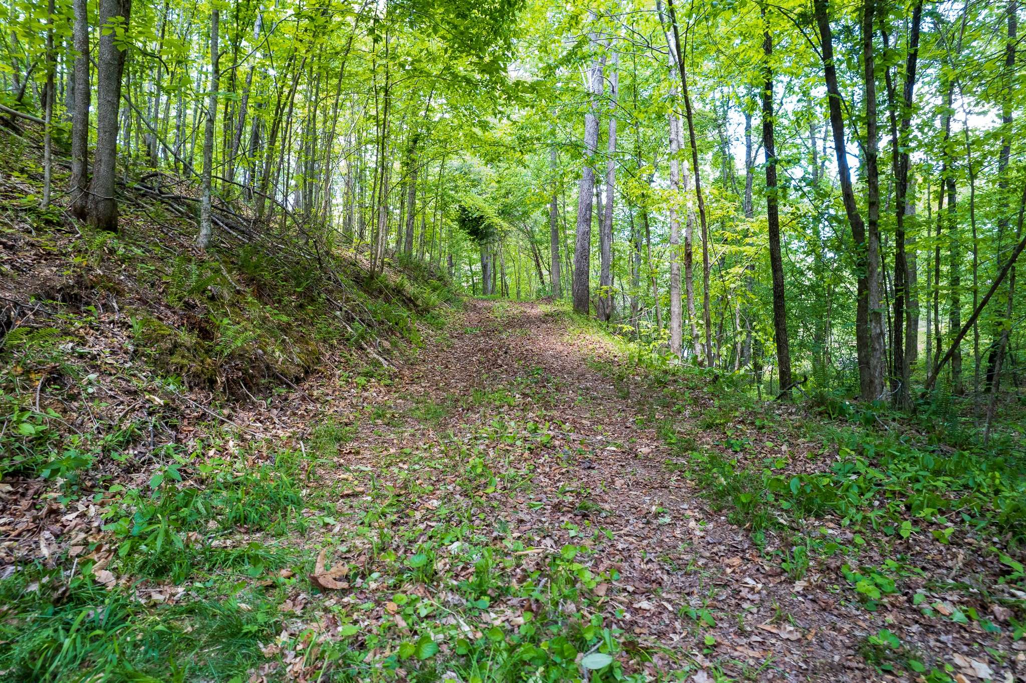 1 Hwy 100, Centerville, TN 37033