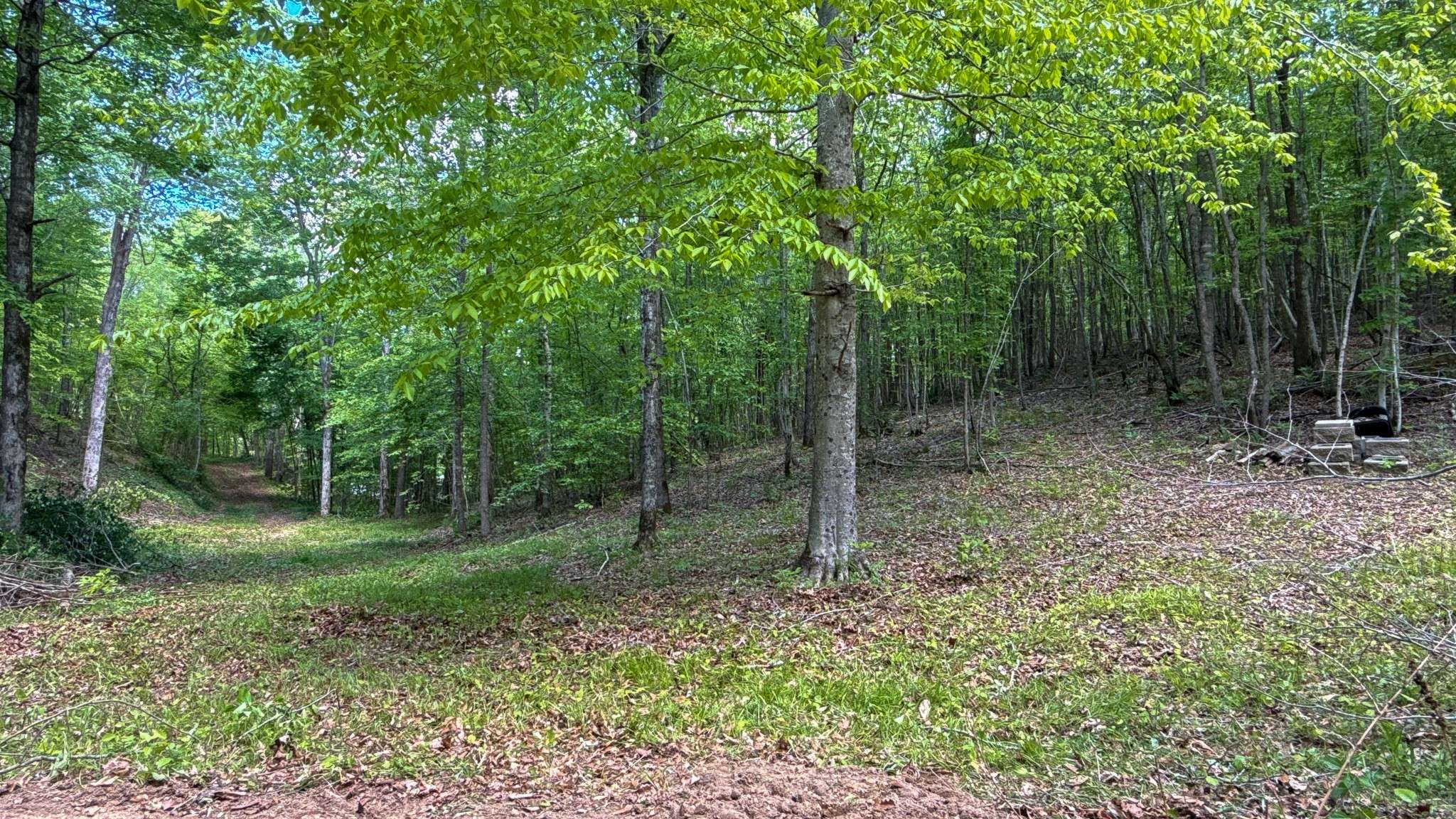 1 Hwy 100, Centerville, TN 37033