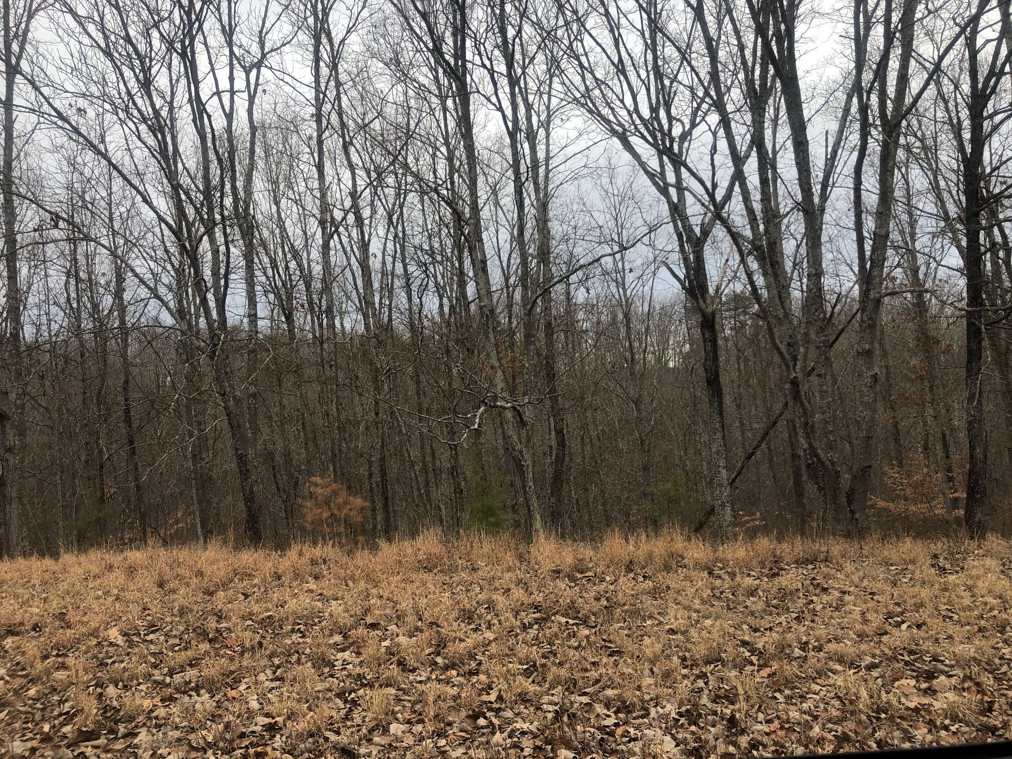 99 Deepwood Dr, Waverly, TN 37185