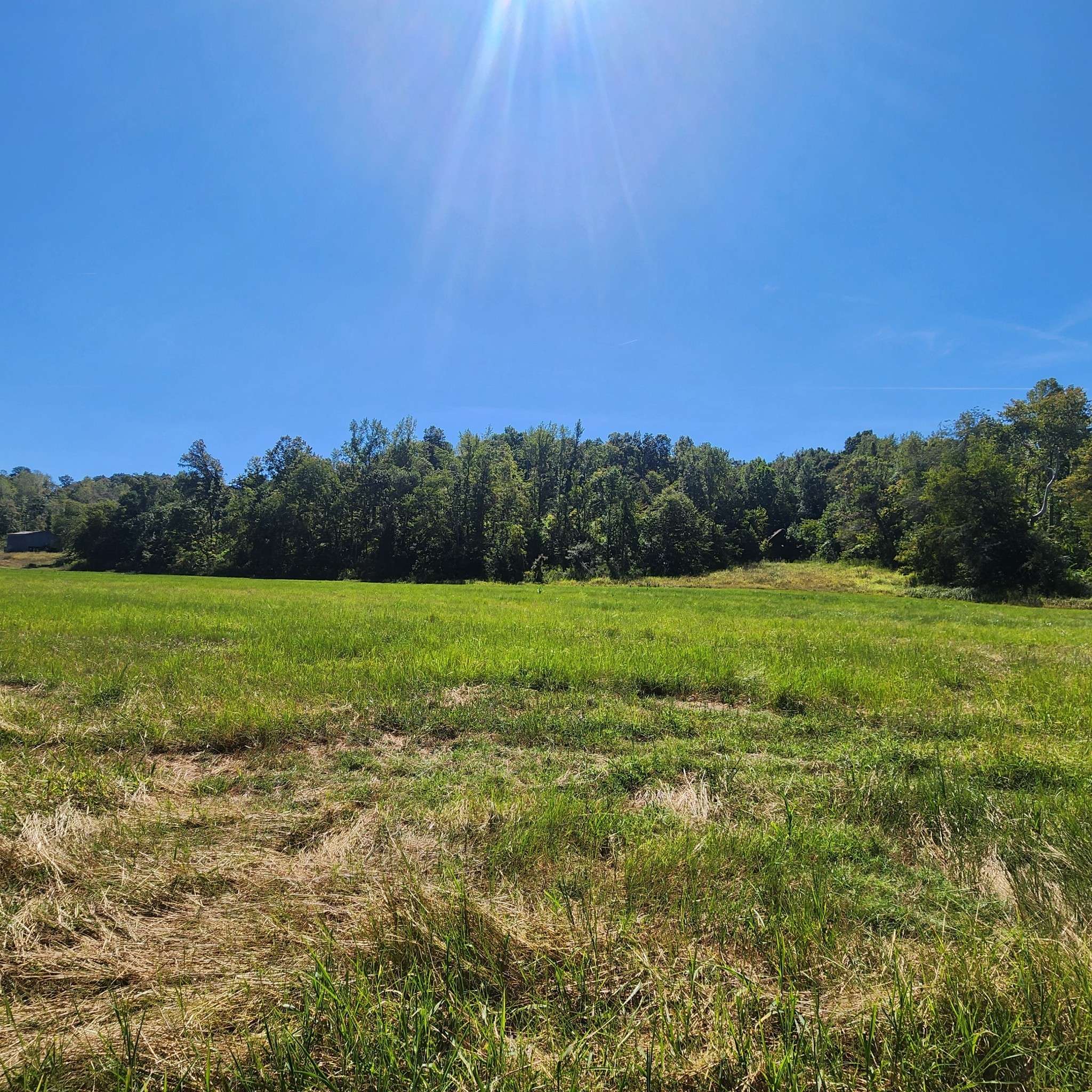 229 Bob Walker Rd, Bumpus Mills, TN 37028