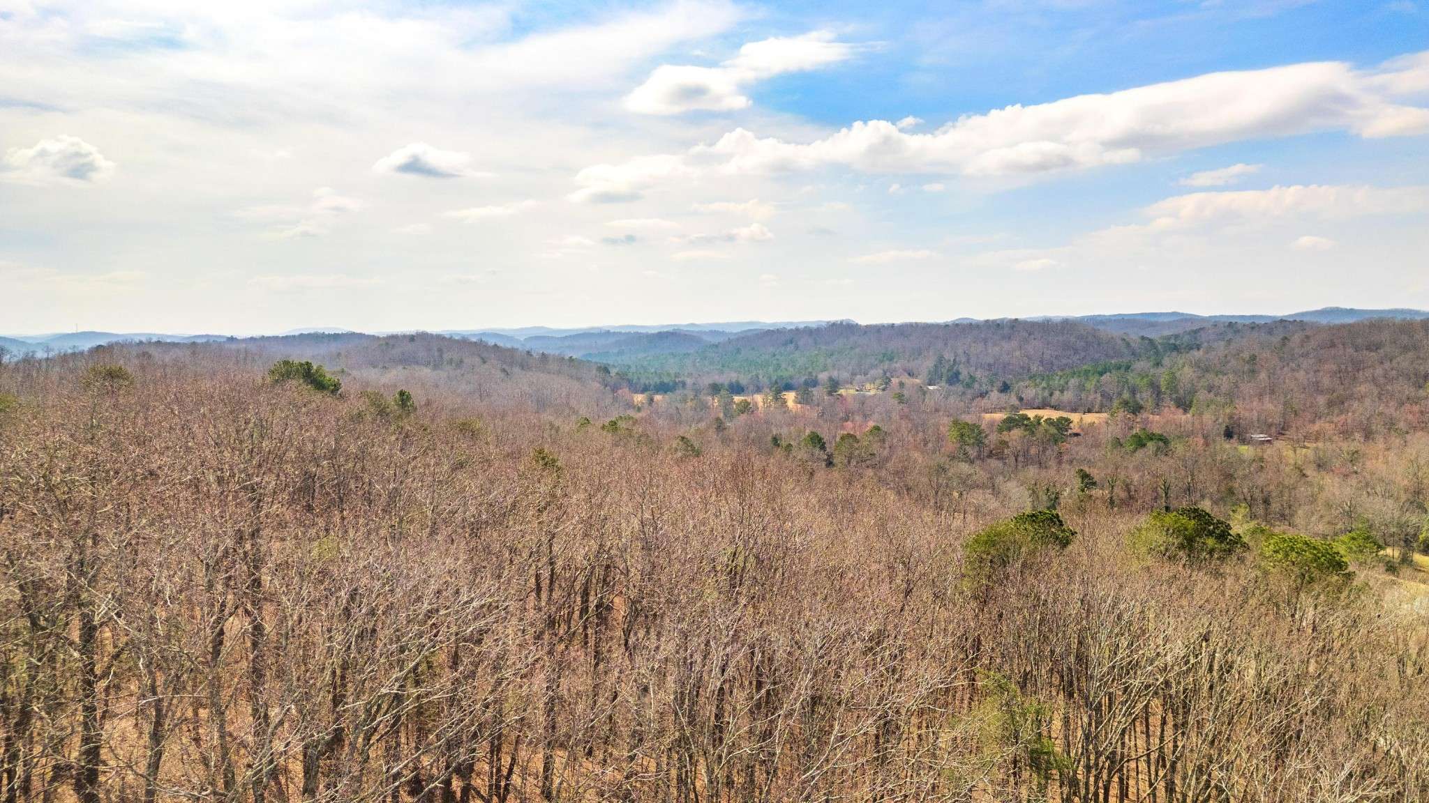 772 Rabbit Valley Rd Nw, Cleveland, TN 37312