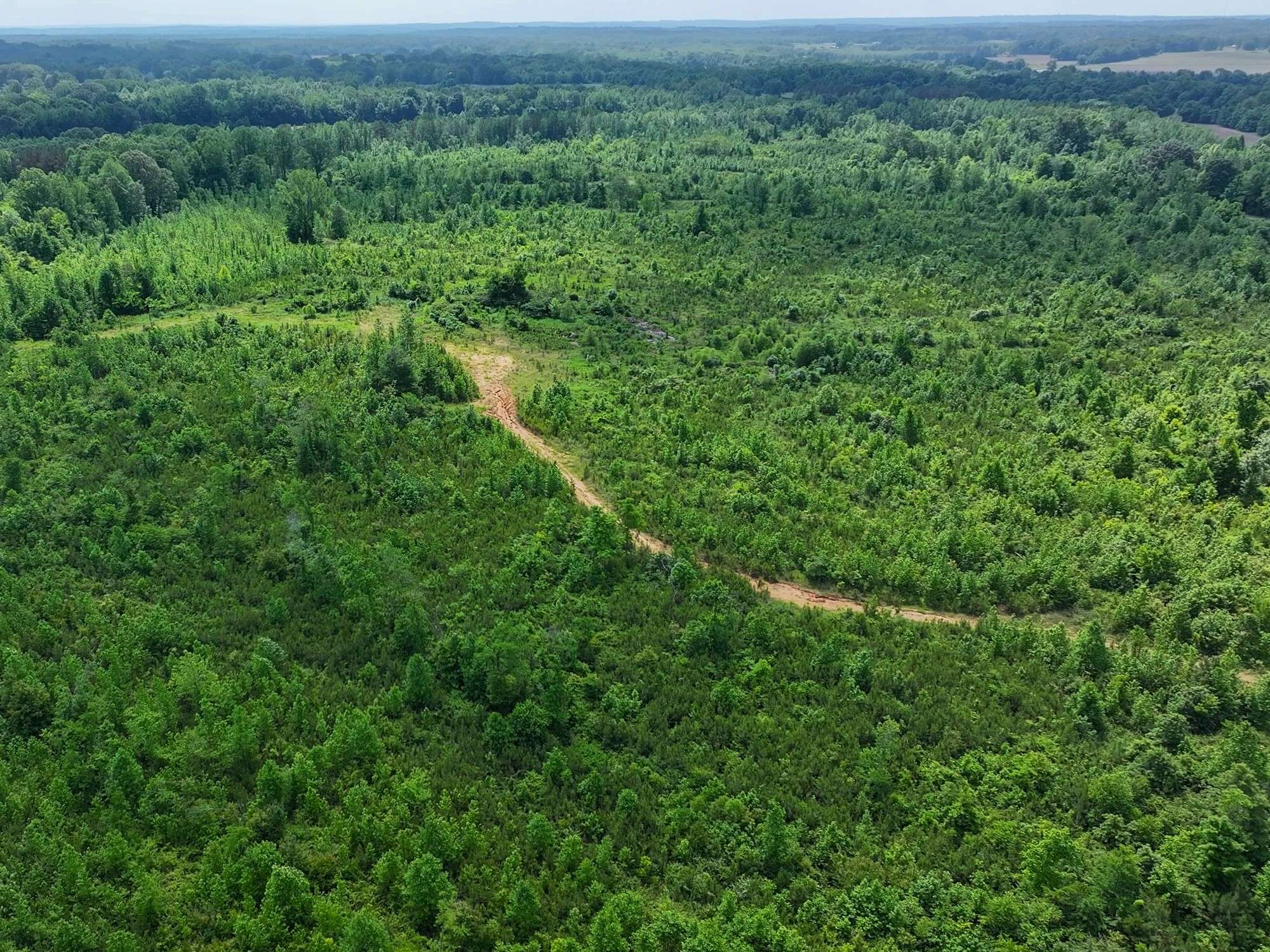 0 Hwy 22A #S, Enville, TN 38332
