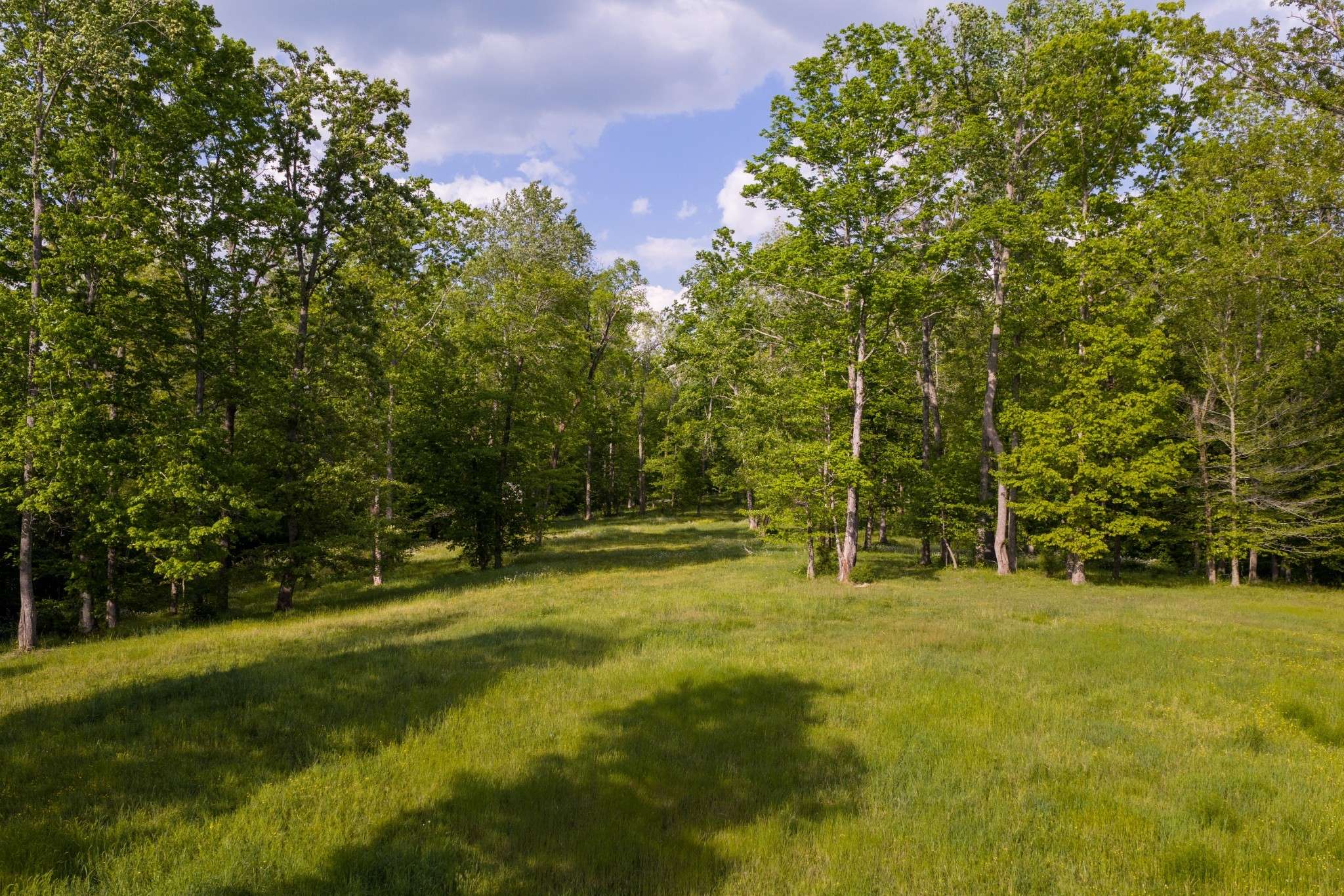 6415 Pinewood Rd, Nunnelly, TN 37137