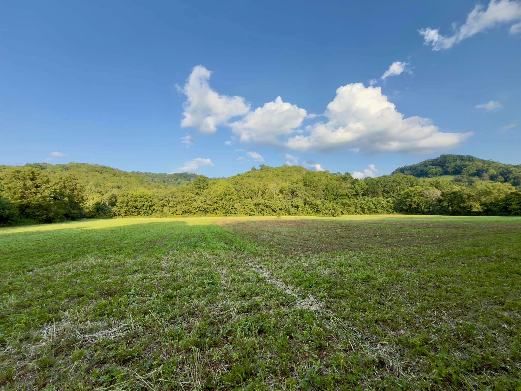 0 Hurricane Creek Rd, Woodbury, TN 37190
