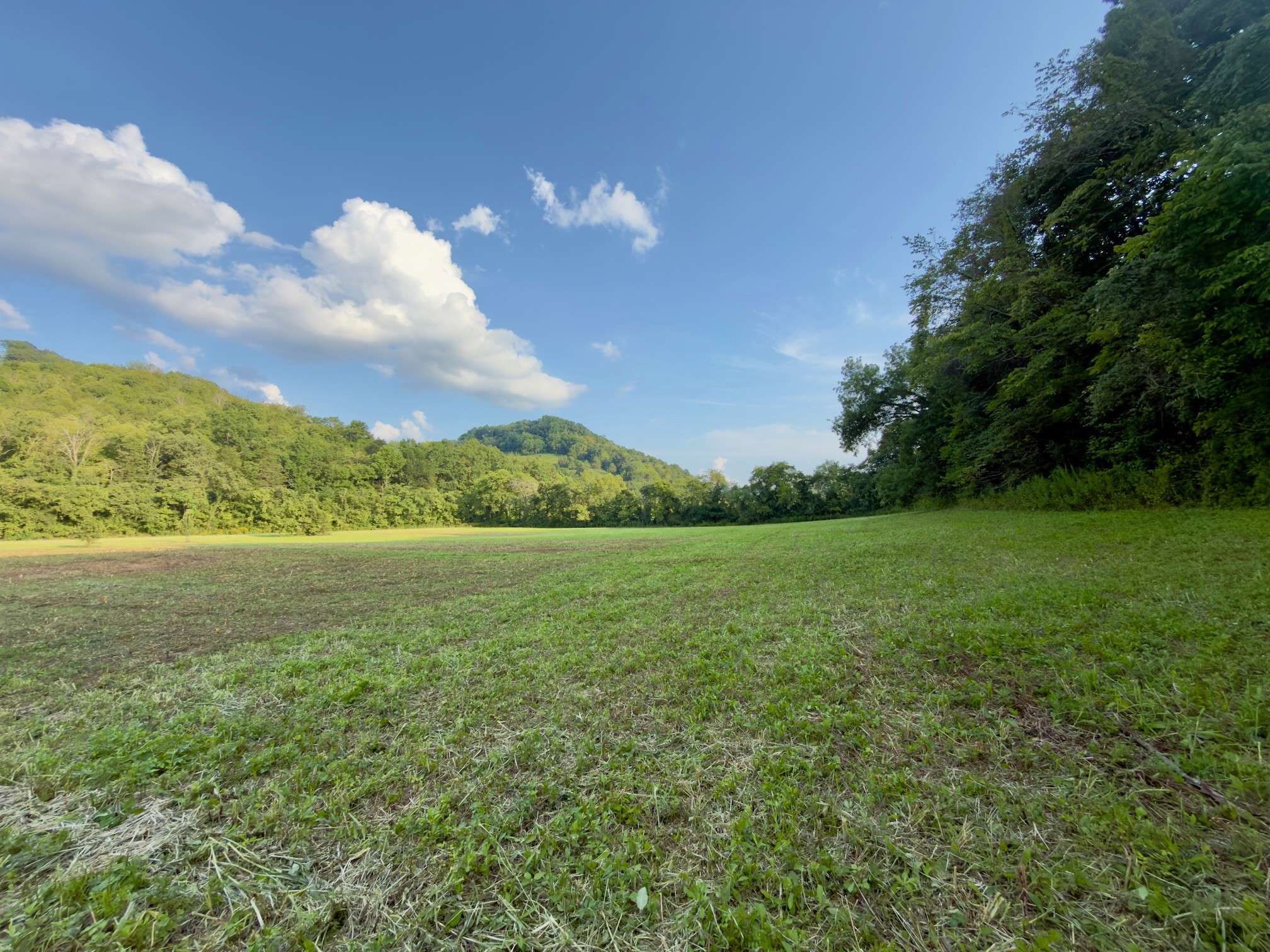 0 Hurricane Creek Rd, Woodbury, TN 37190