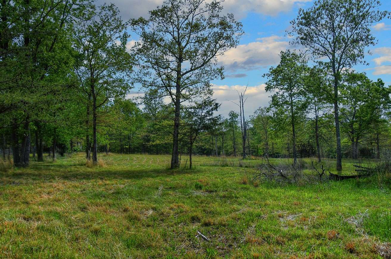 607 Monteagle Falls Rd, Monteagle, TN 37356