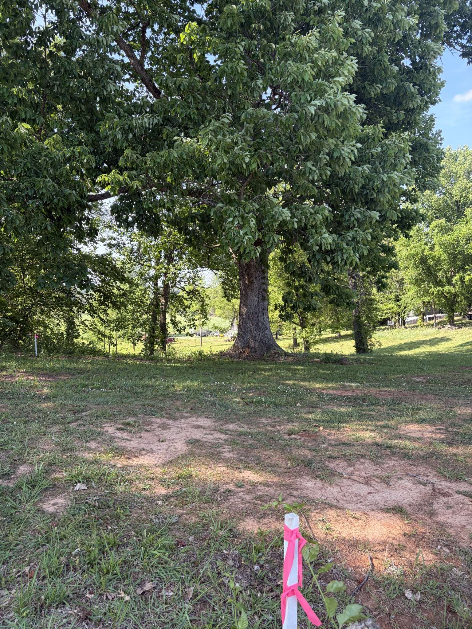 0 Old Morrison Road, Mcminnville, TN 37110