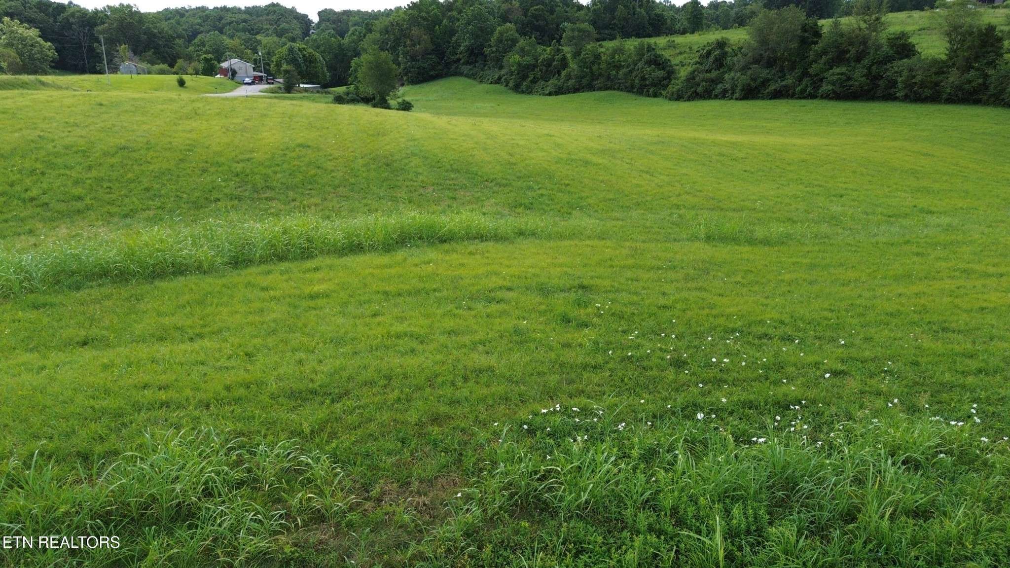 85 Flowers Rd, Monroe, TN 38573