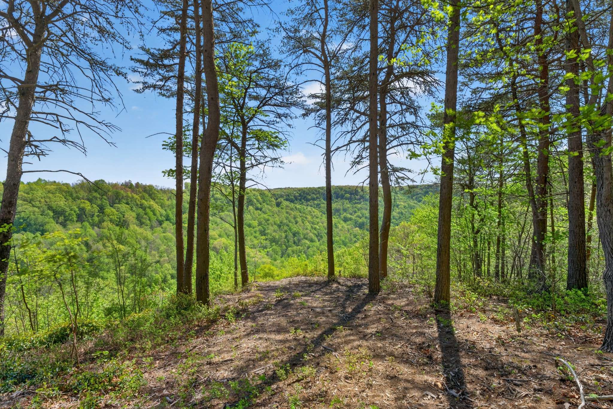 2076 Timberwood Trace, Monteagle, TN 37356