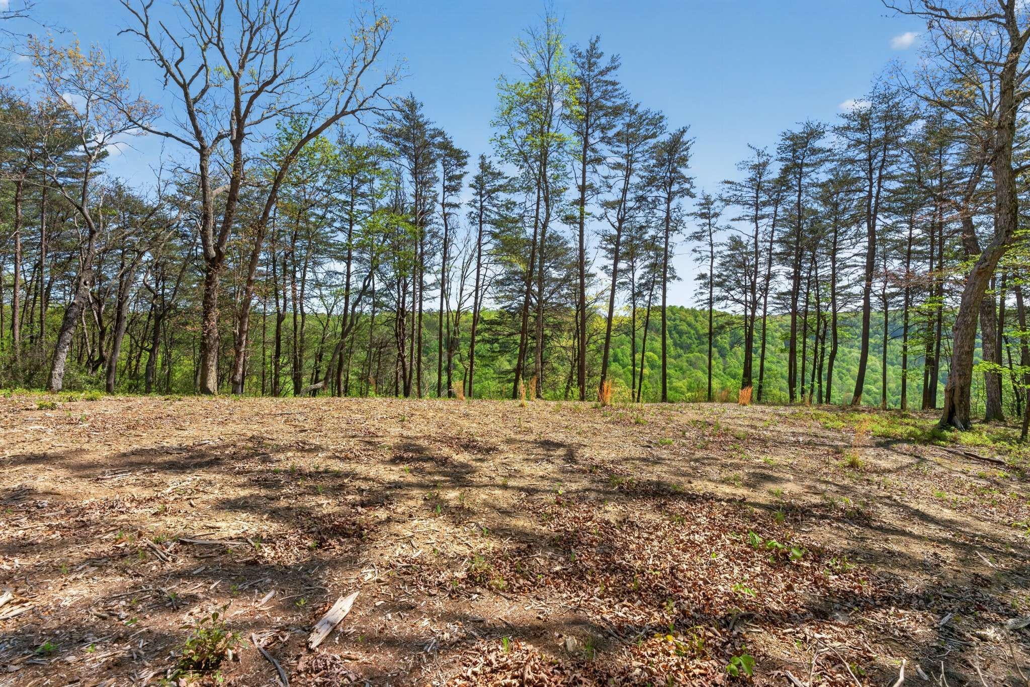 2076 Timberwood Trace, Monteagle, TN 37356