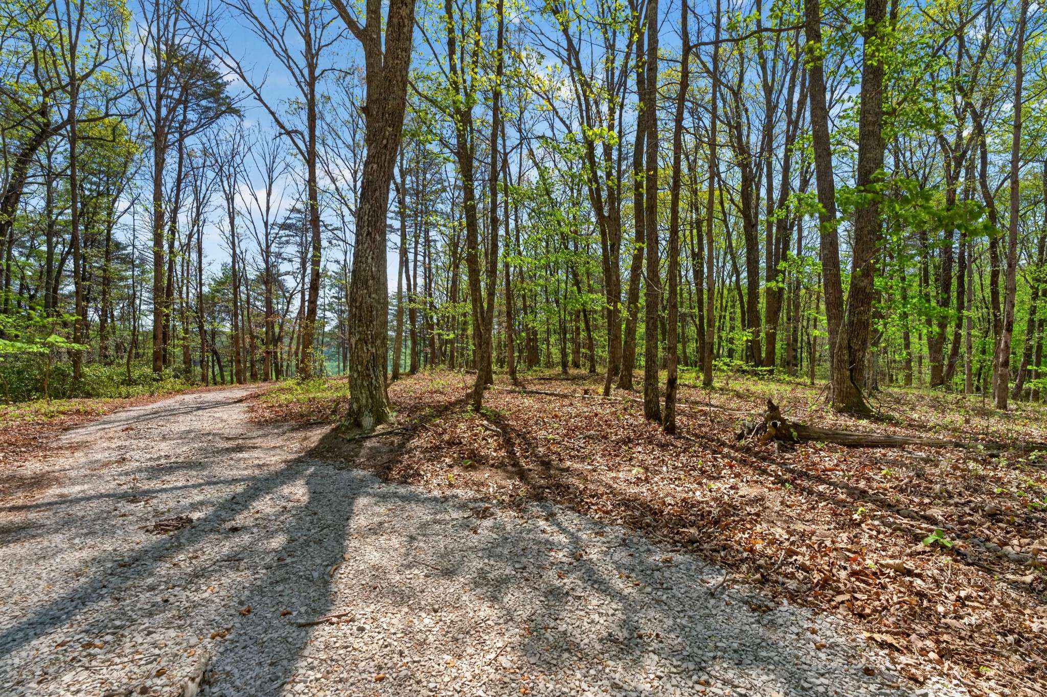 2076 Timberwood Trace, Monteagle, TN 37356