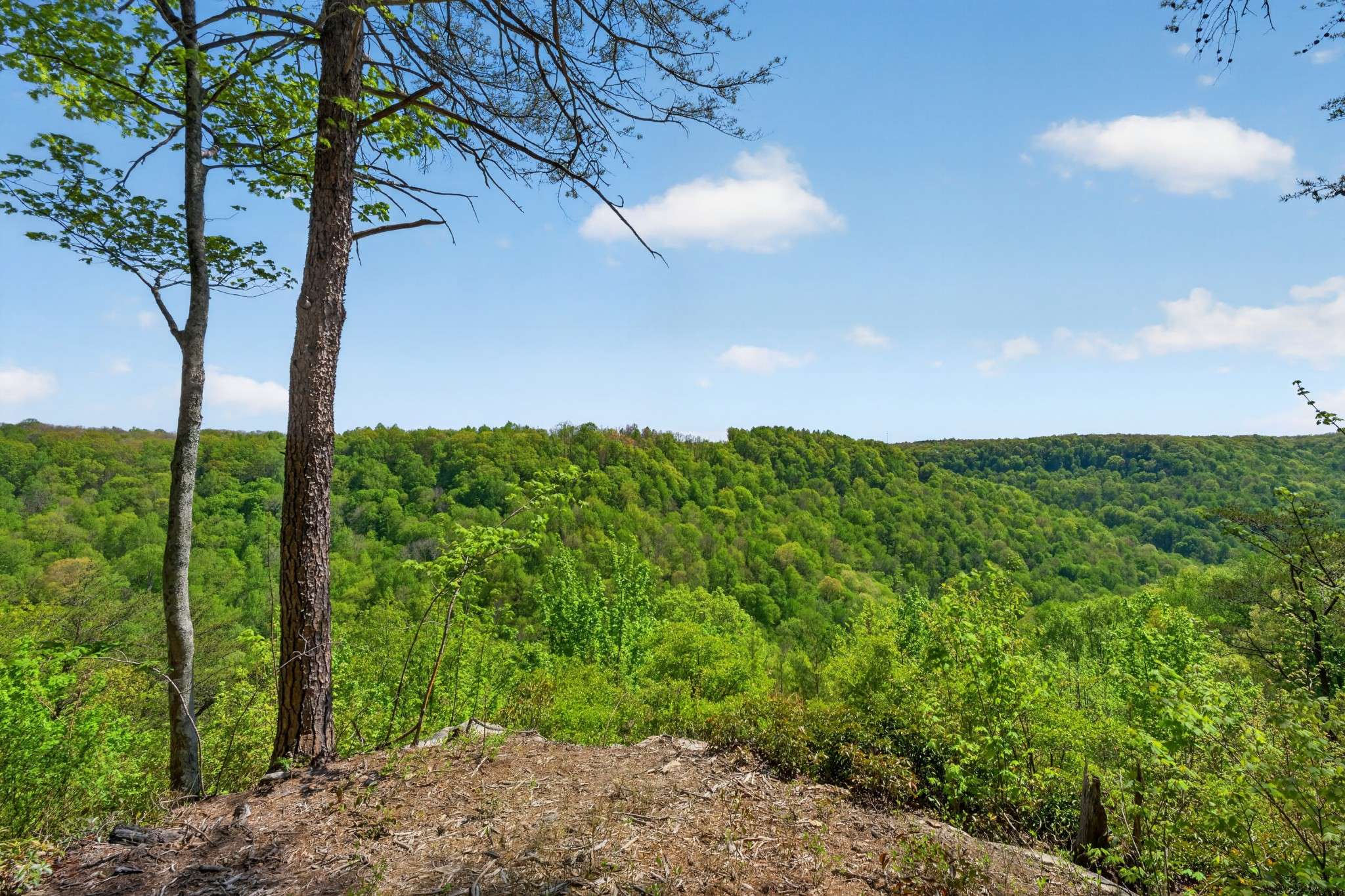 2076 Timberwood Trace, Monteagle, TN 37356