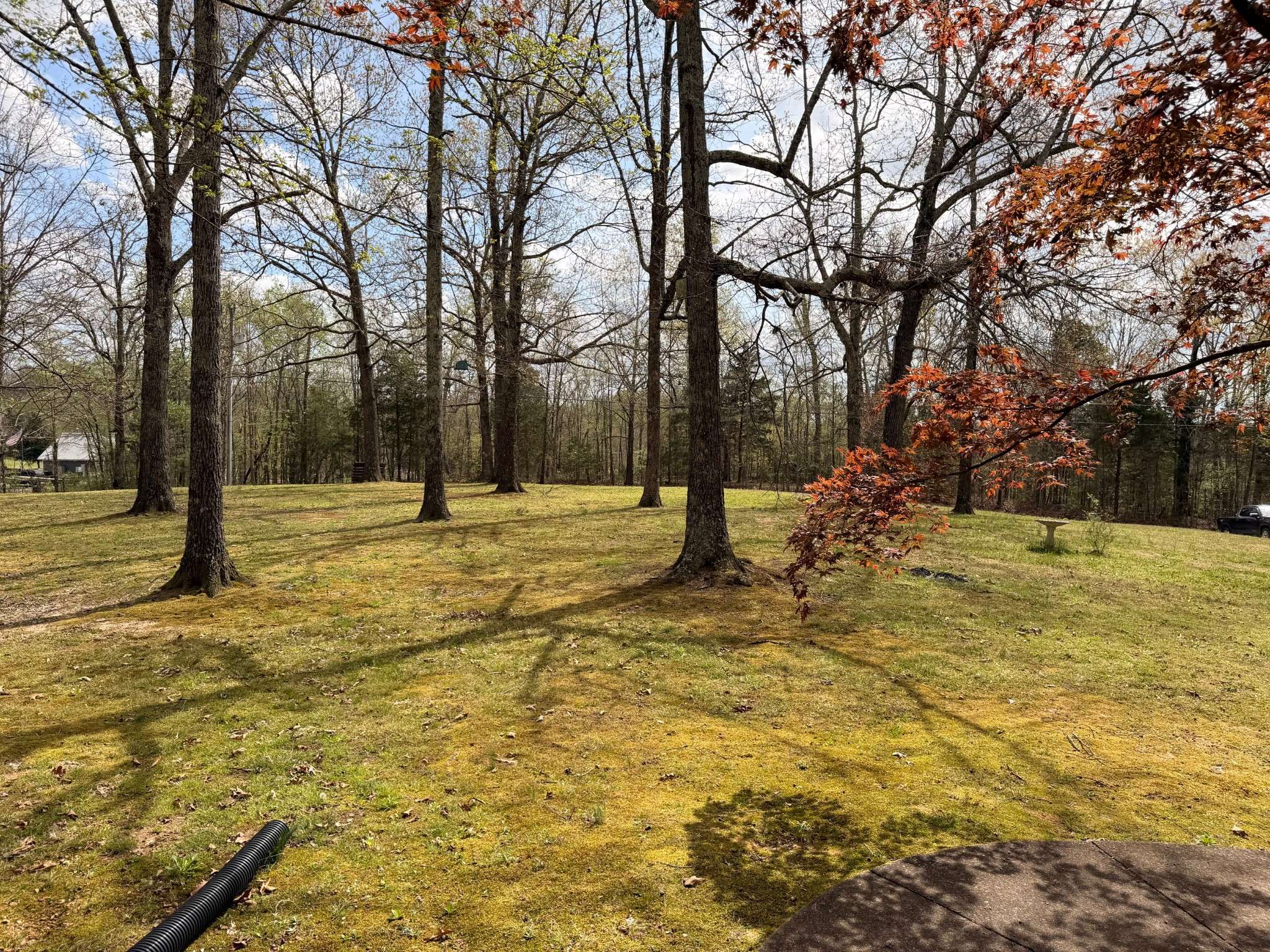88 Pleasant Hill Church Rd, Cadiz, KY 42211