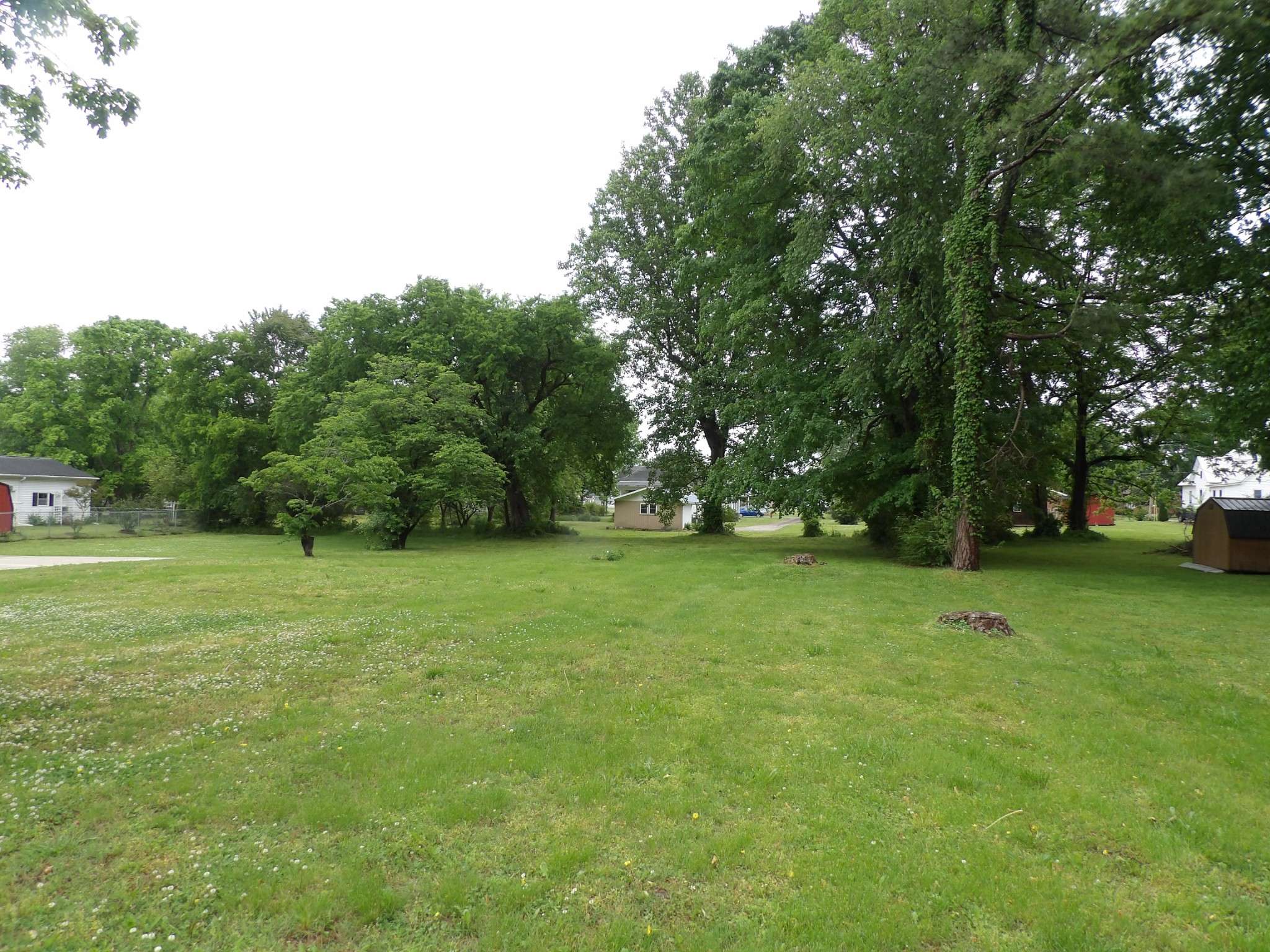 203 Carroll Ave, Waverly, TN 37185
