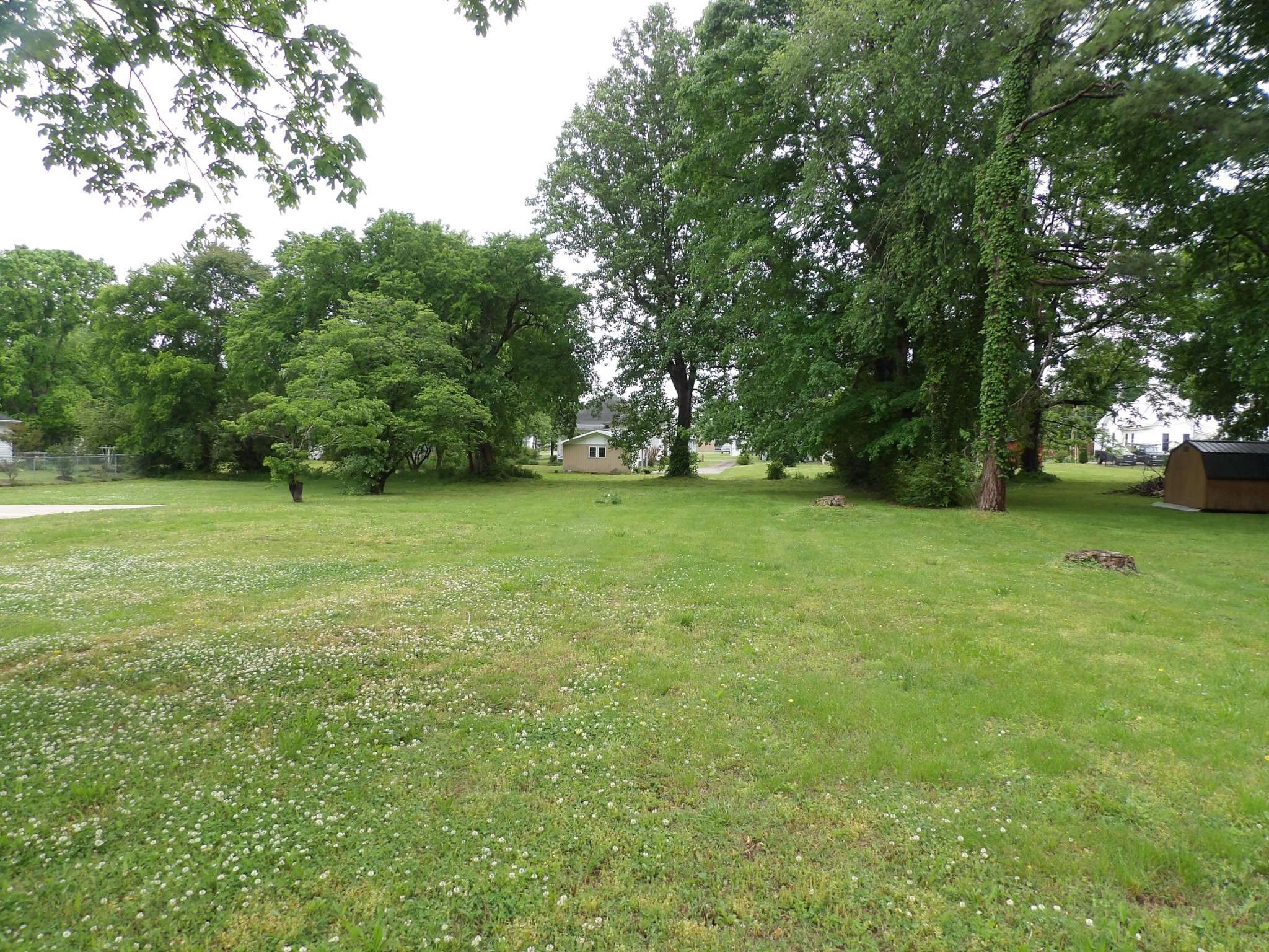 203 Carroll Ave, Waverly, TN 37185
