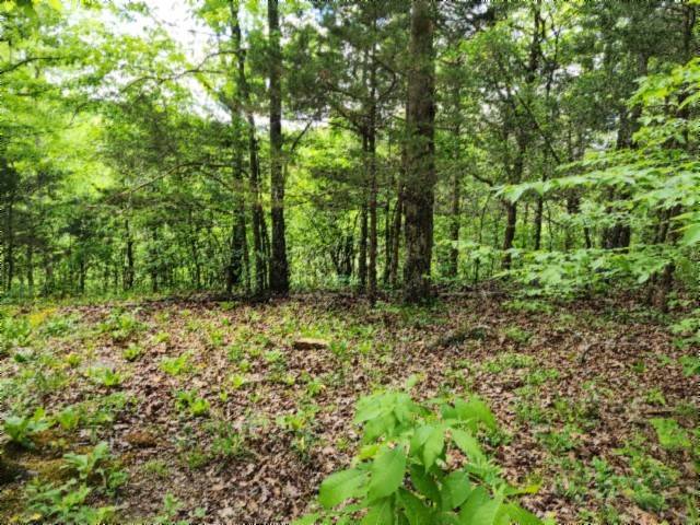 0 Froest Trails, Celina, TN 38551