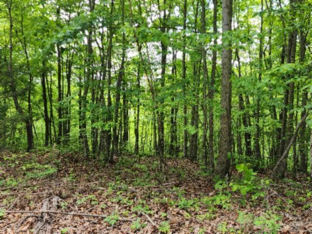 0 Froest Trails, Celina, TN 38551