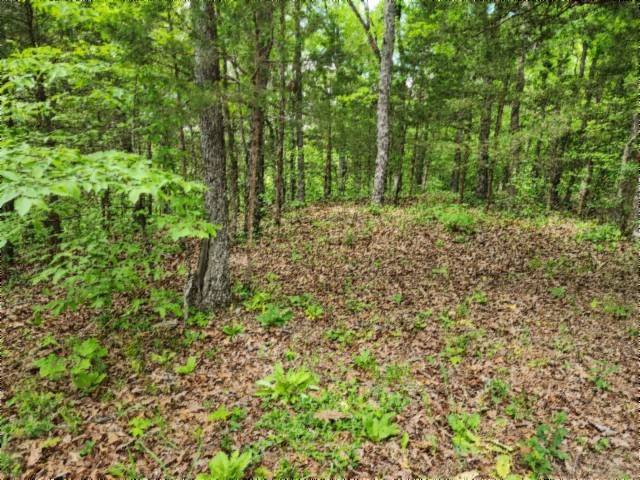 0 Froest Trails, Celina, TN 38551