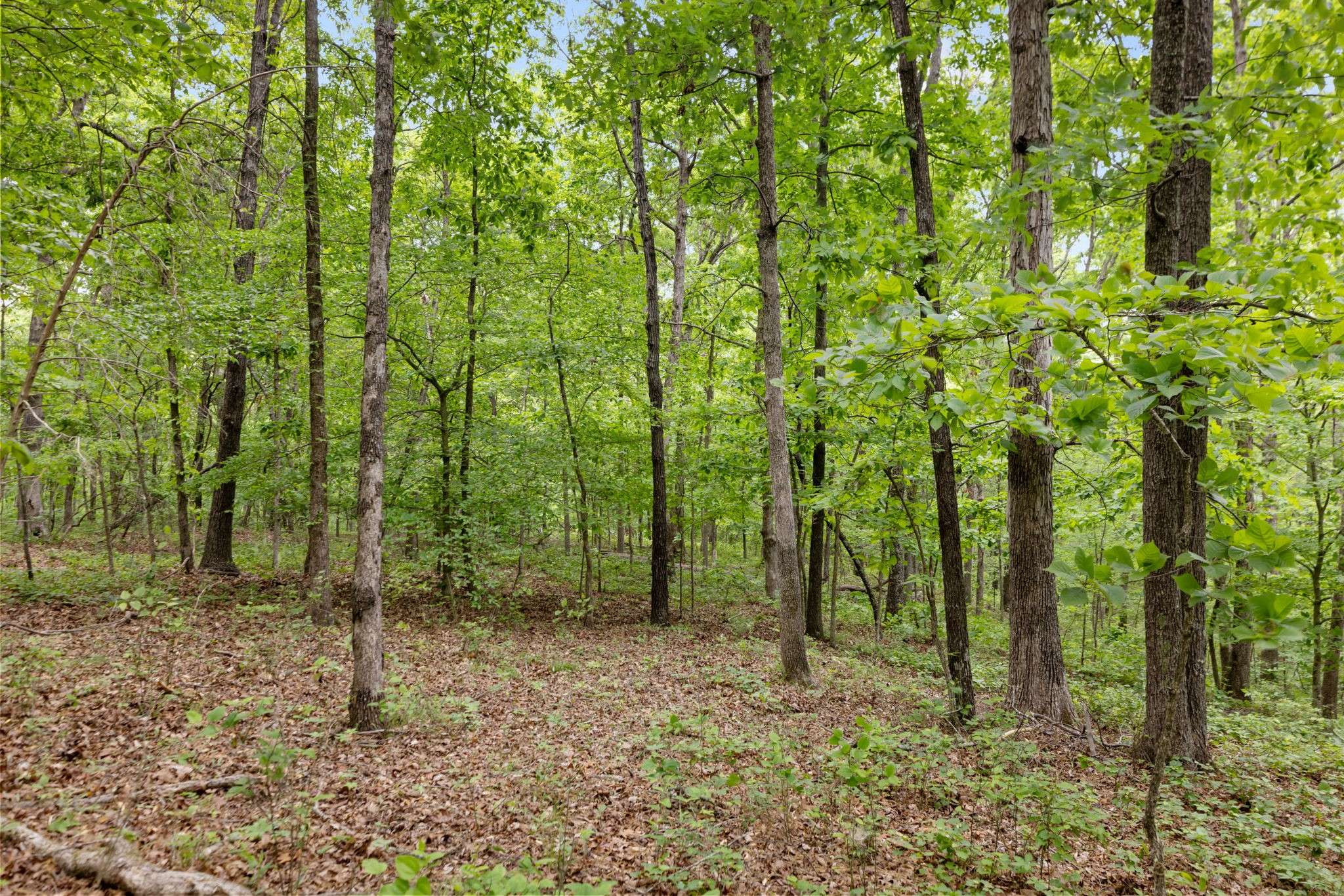 0 Old Number One Rd, Dickson, TN 37055