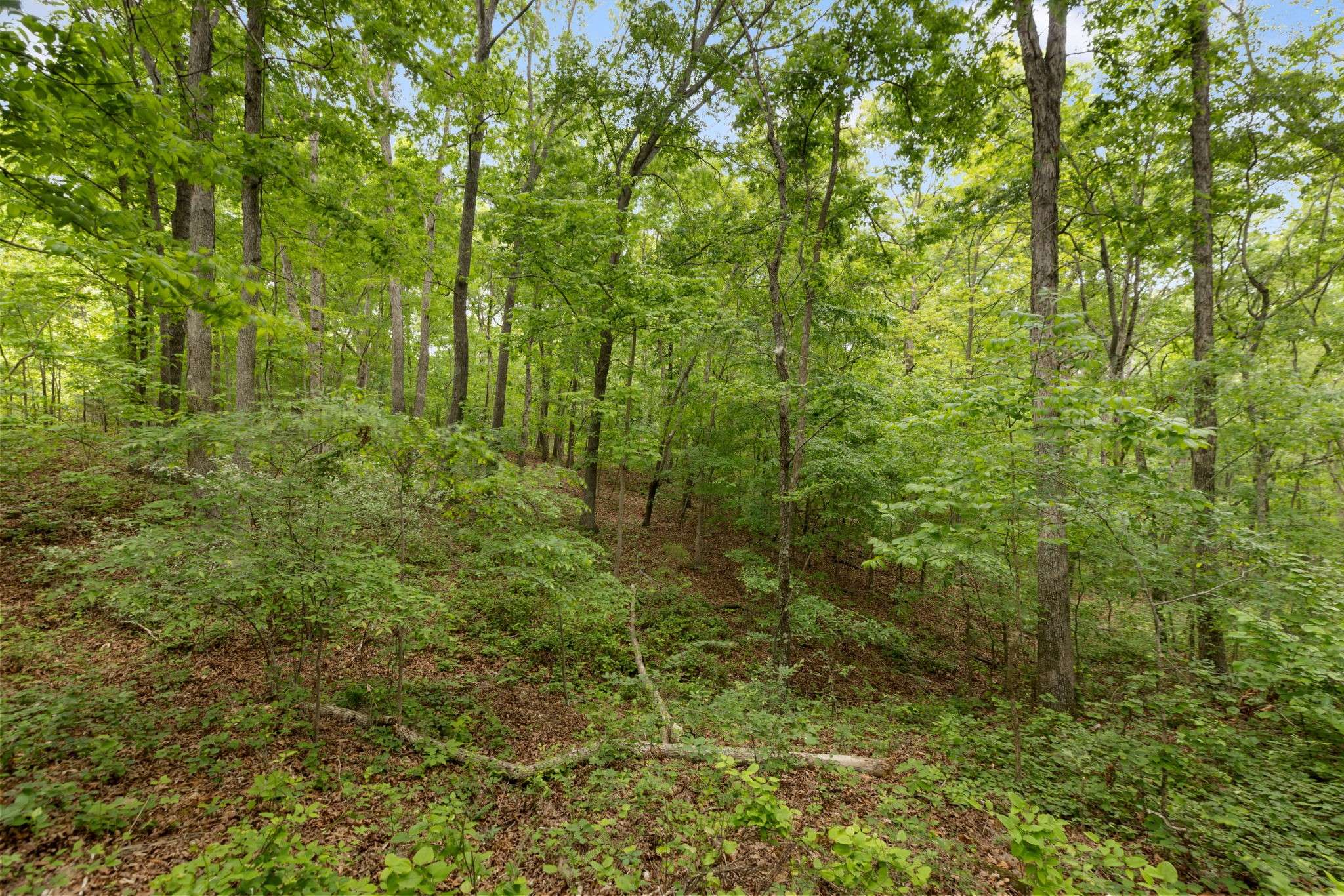 0 Old Number One Rd, Dickson, TN 37055