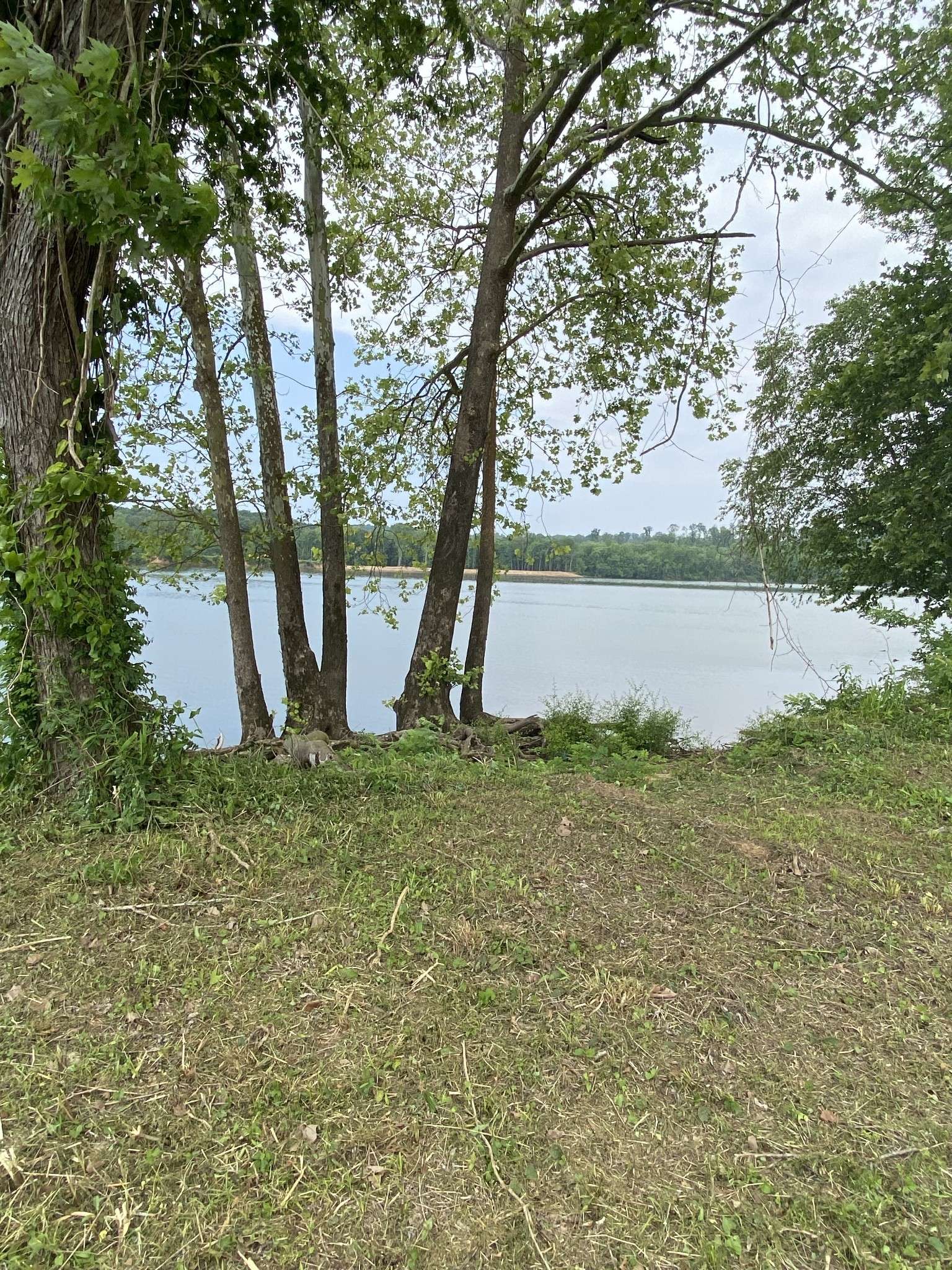 279 Hardin Bottom River Road, Clifton, TN 38425