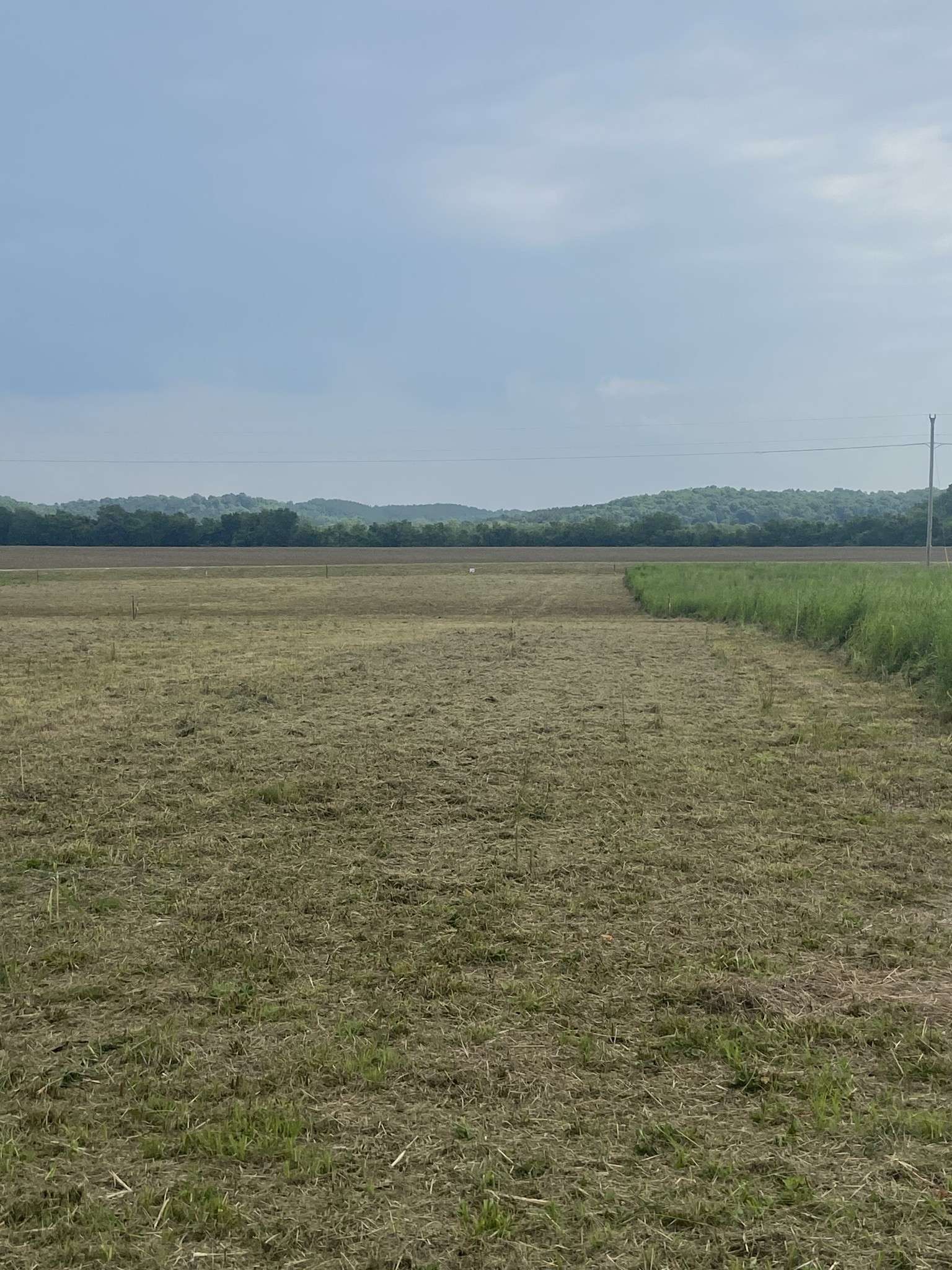 269 Hardin Bottom River Road, Clifton, TN 38425