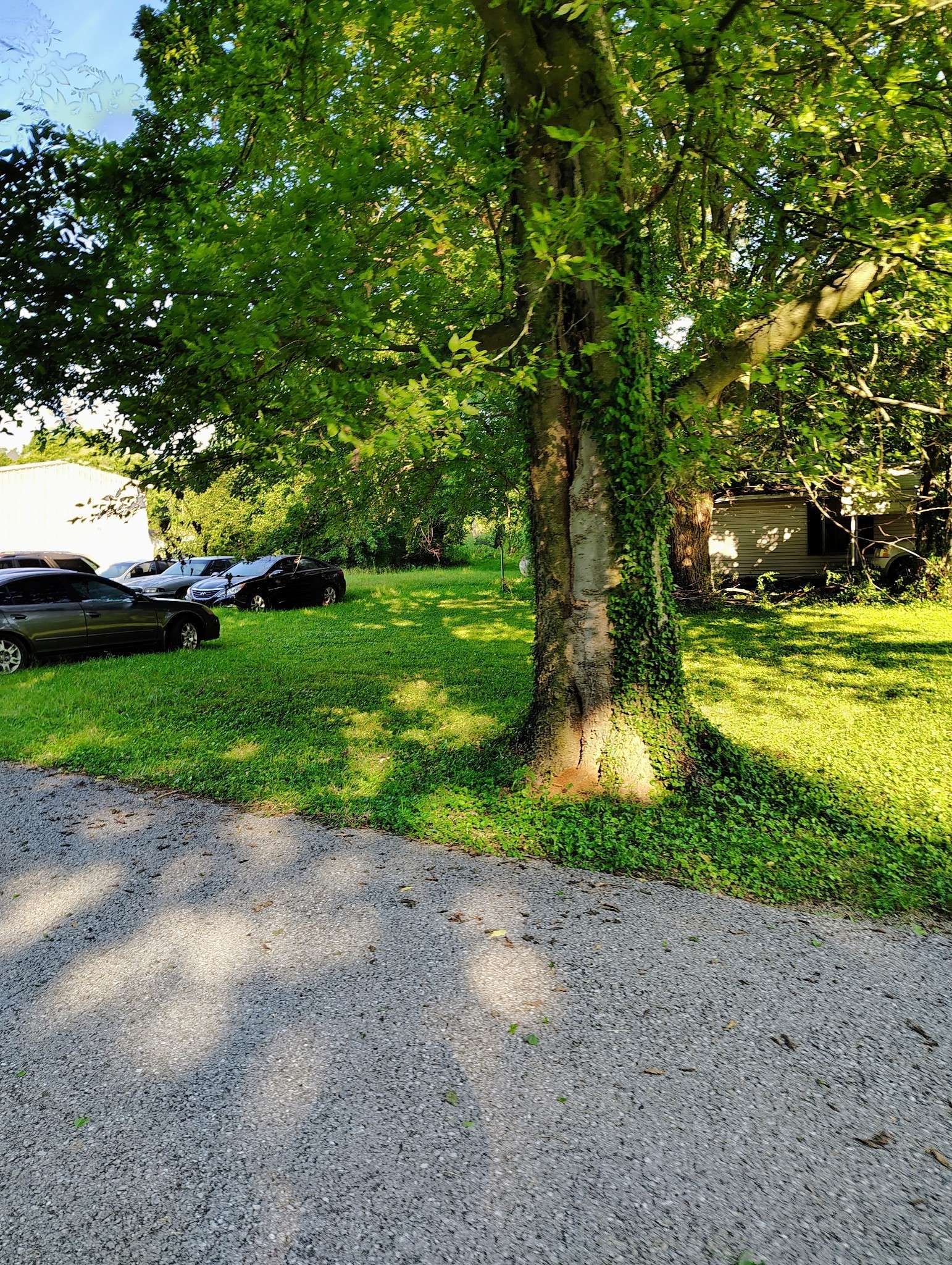 6760 Newstead Rd, Hopkinsville, KY 42240