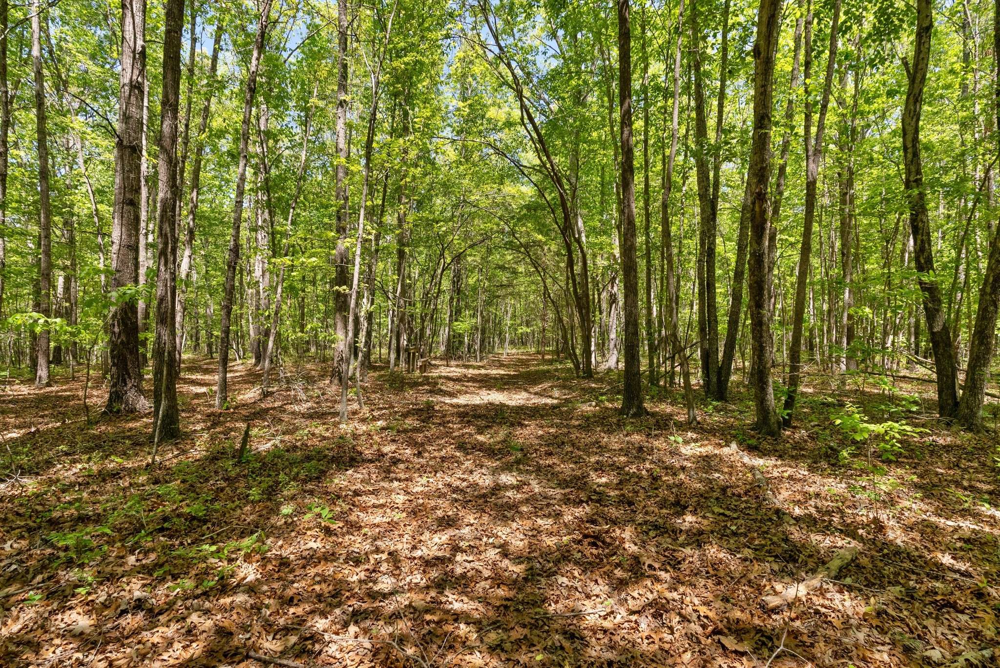 220 Gitty Up Ln, Bradyville, TN 37026