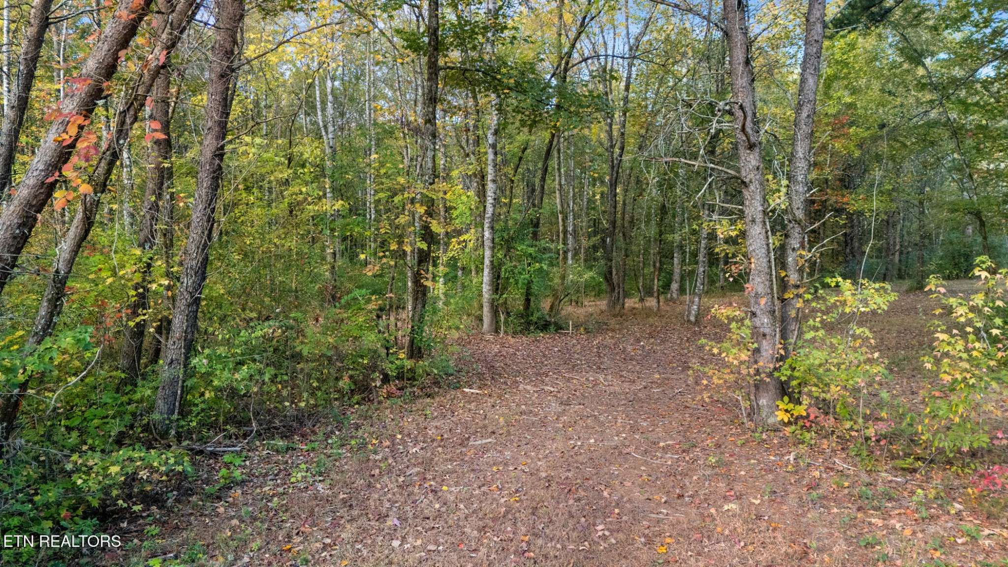 209 Ridge Rd, Maryville, TN 37803