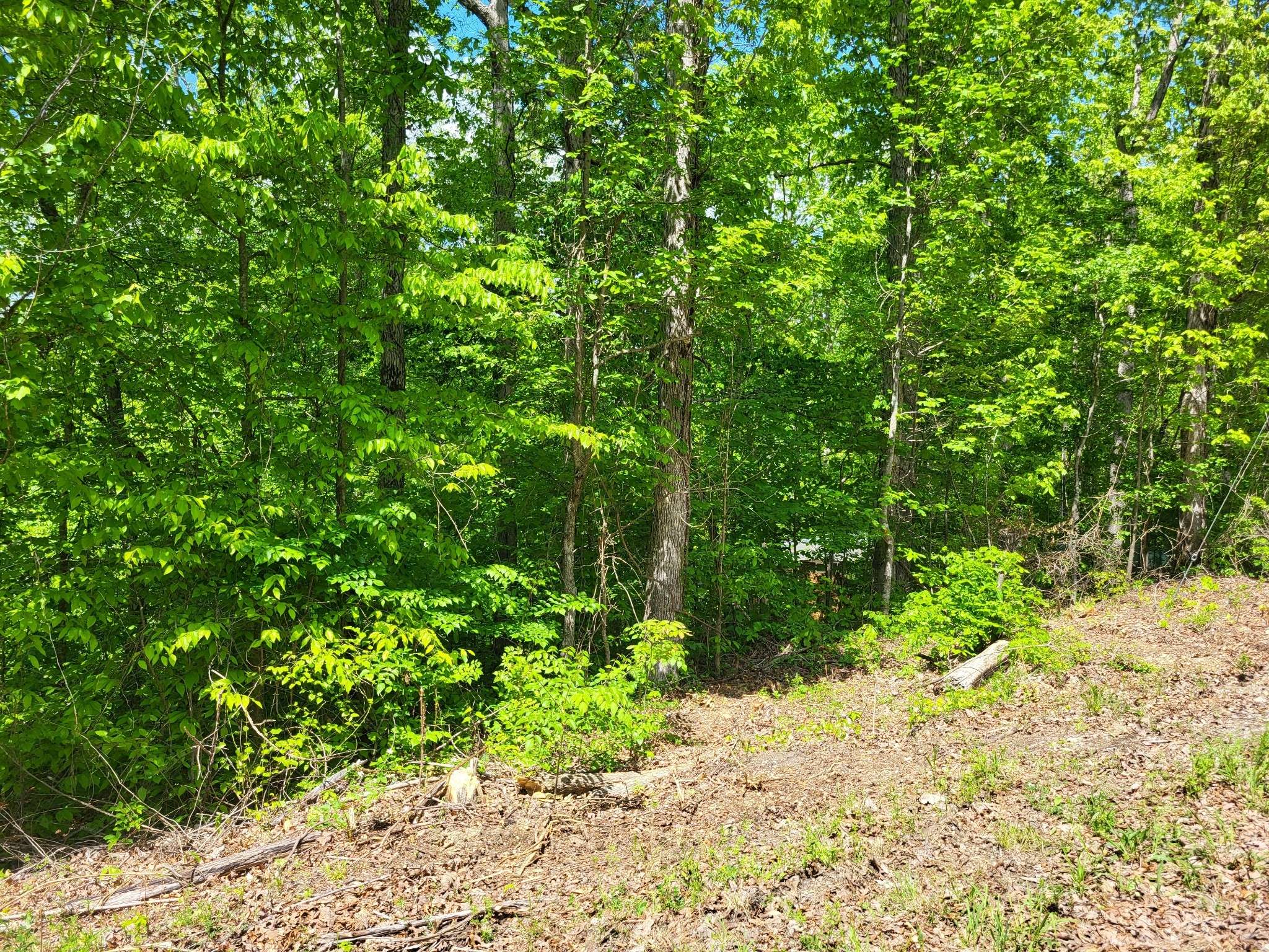 0A Red Ash Rd, Sugar Tree, TN 38380