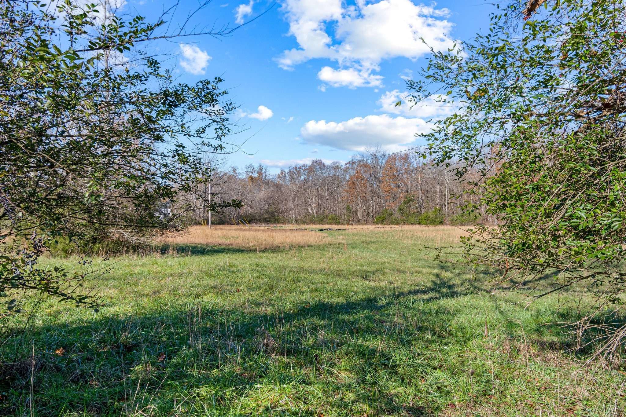 0 Smithson Rd, College Grove, TN 37046