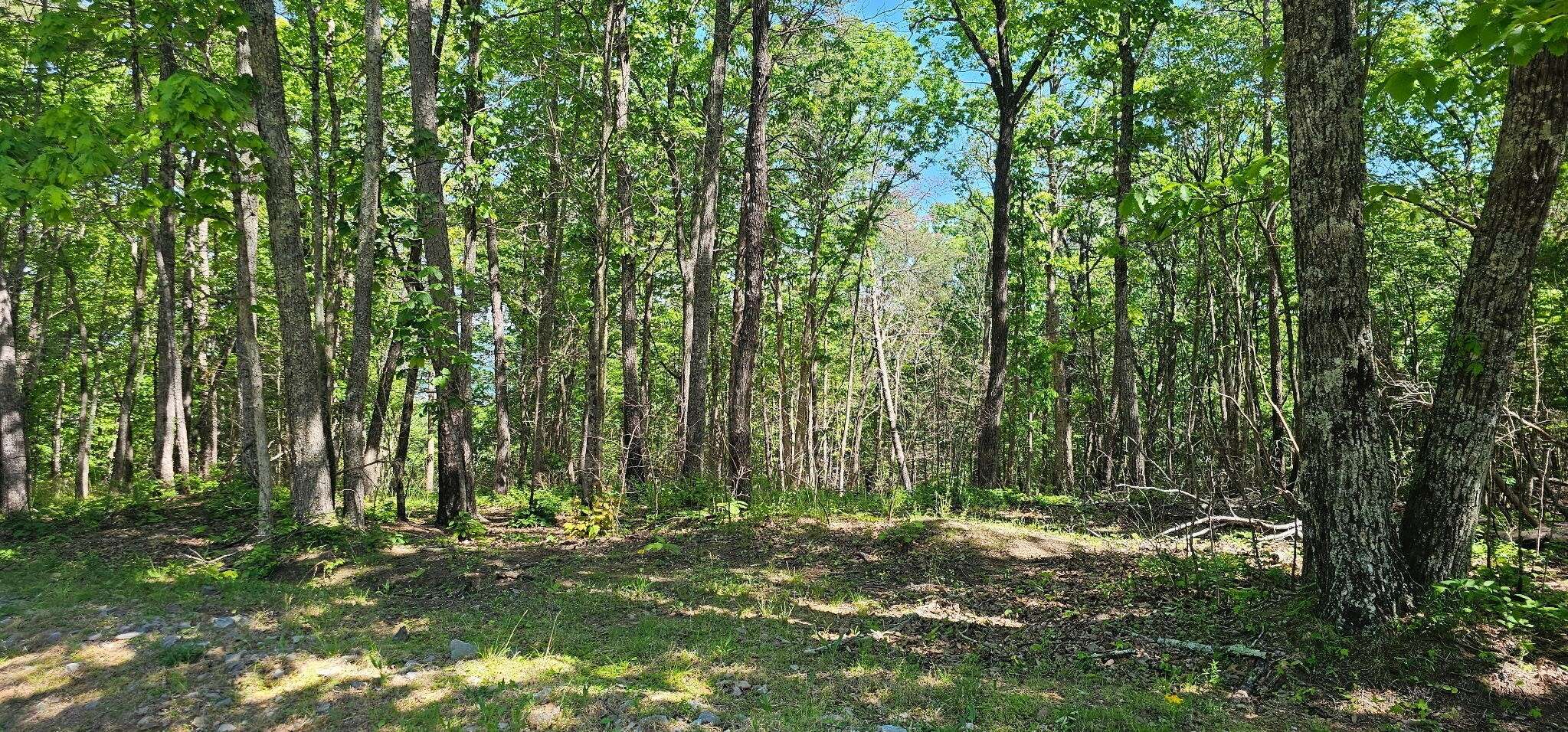 0 Bluffview Dr, Dunlap, TN 37327