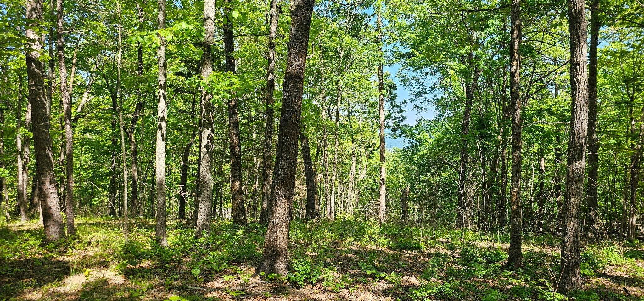 0 Bluffview Dr, Dunlap, TN 37327