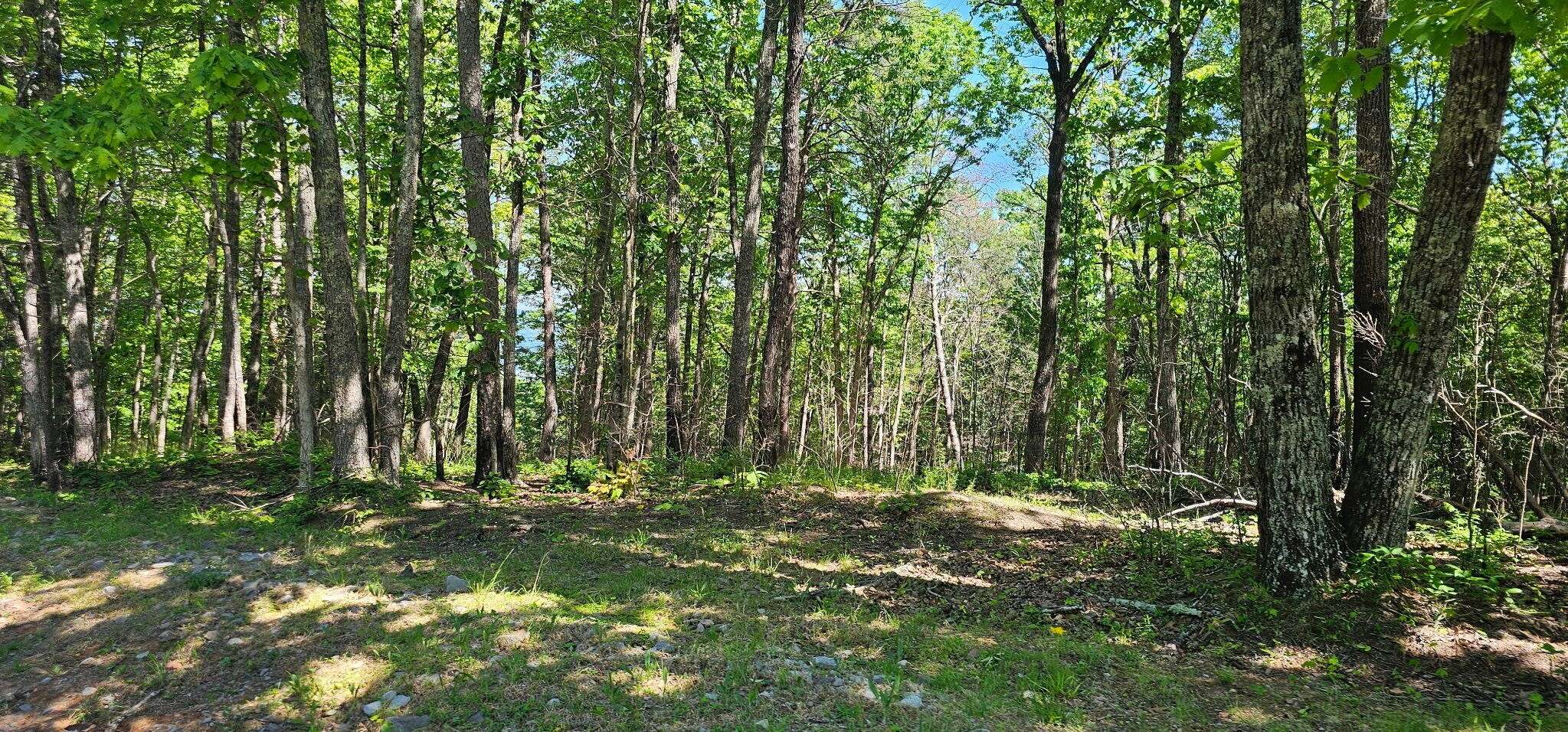 0 Bluffview Dr, Dunlap, TN 37327