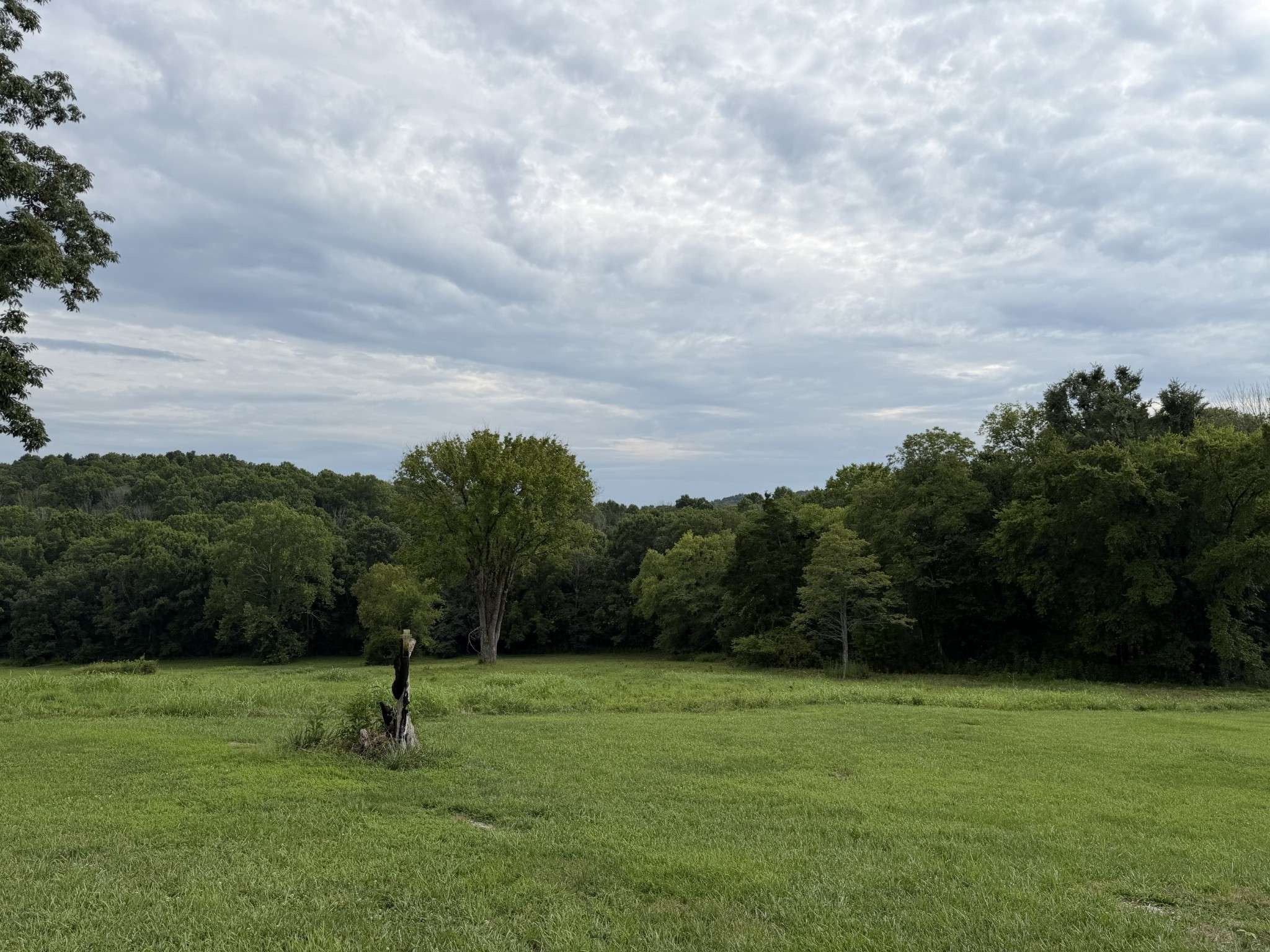 2370 Patton Hollow Rd, Watertown, TN 37184