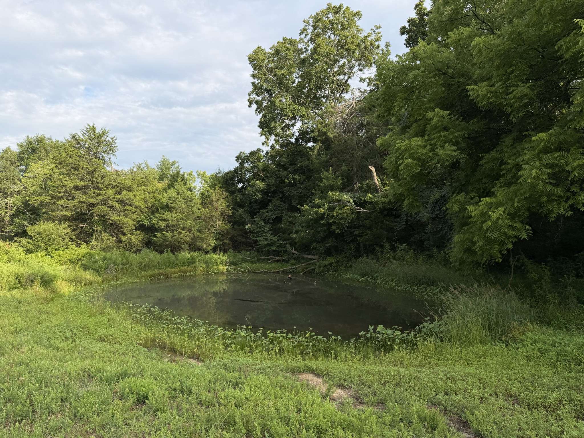 2370 Patton Hollow Rd, Watertown, TN 37184
