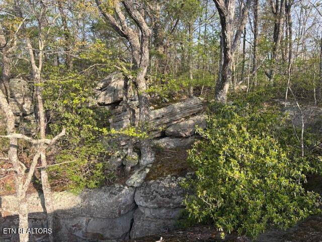 0 Gray Rock View, Pikeville, TN 37367