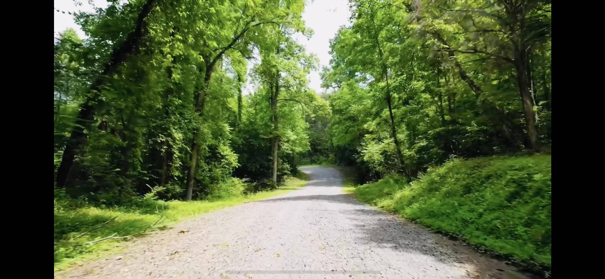 0 Cypress Drive, Spring City, TN 37381
