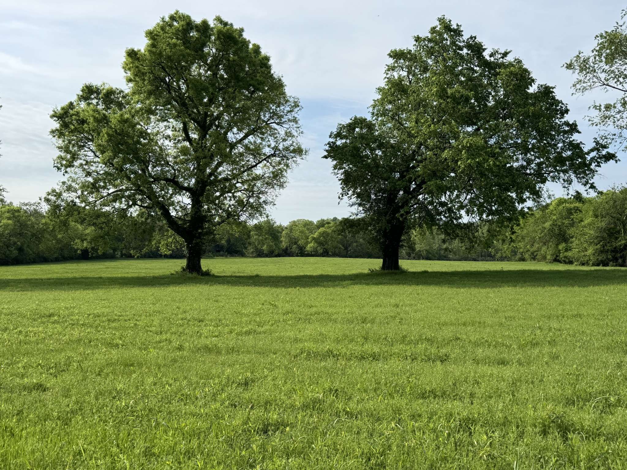 0 Clarksville Pike, Whites Creek, TN 37189