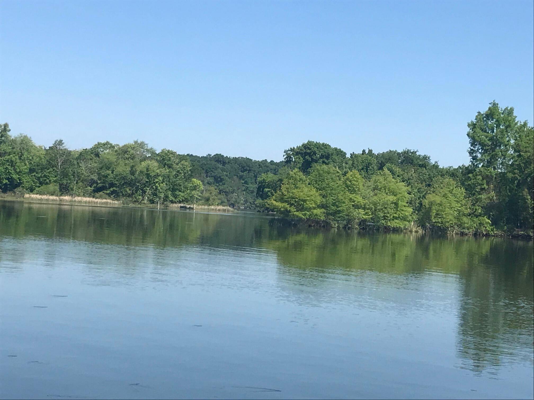894 Riverbend Drive, Dayton, TN 37321