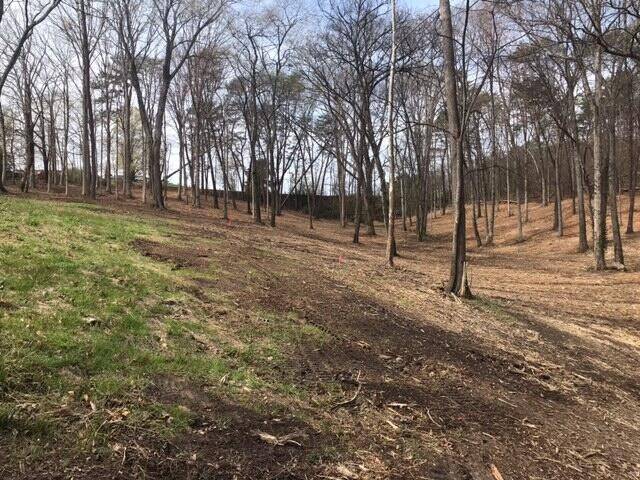 0 Tell Street, Athens, TN 37303