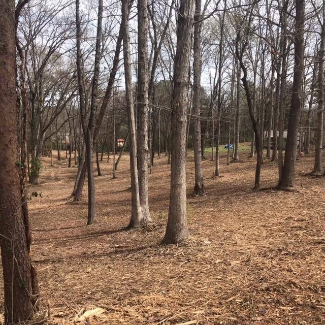 0 Tell Street, Athens, TN 37303